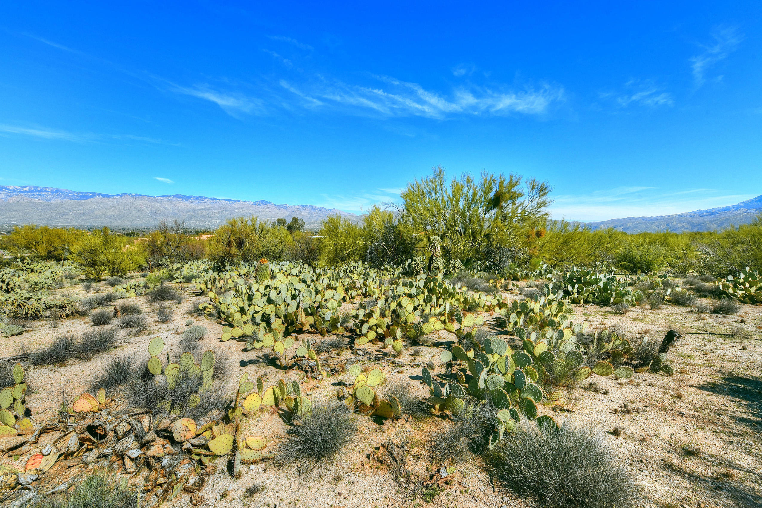 Wild Horse Ranch Estates (1-66) - Land