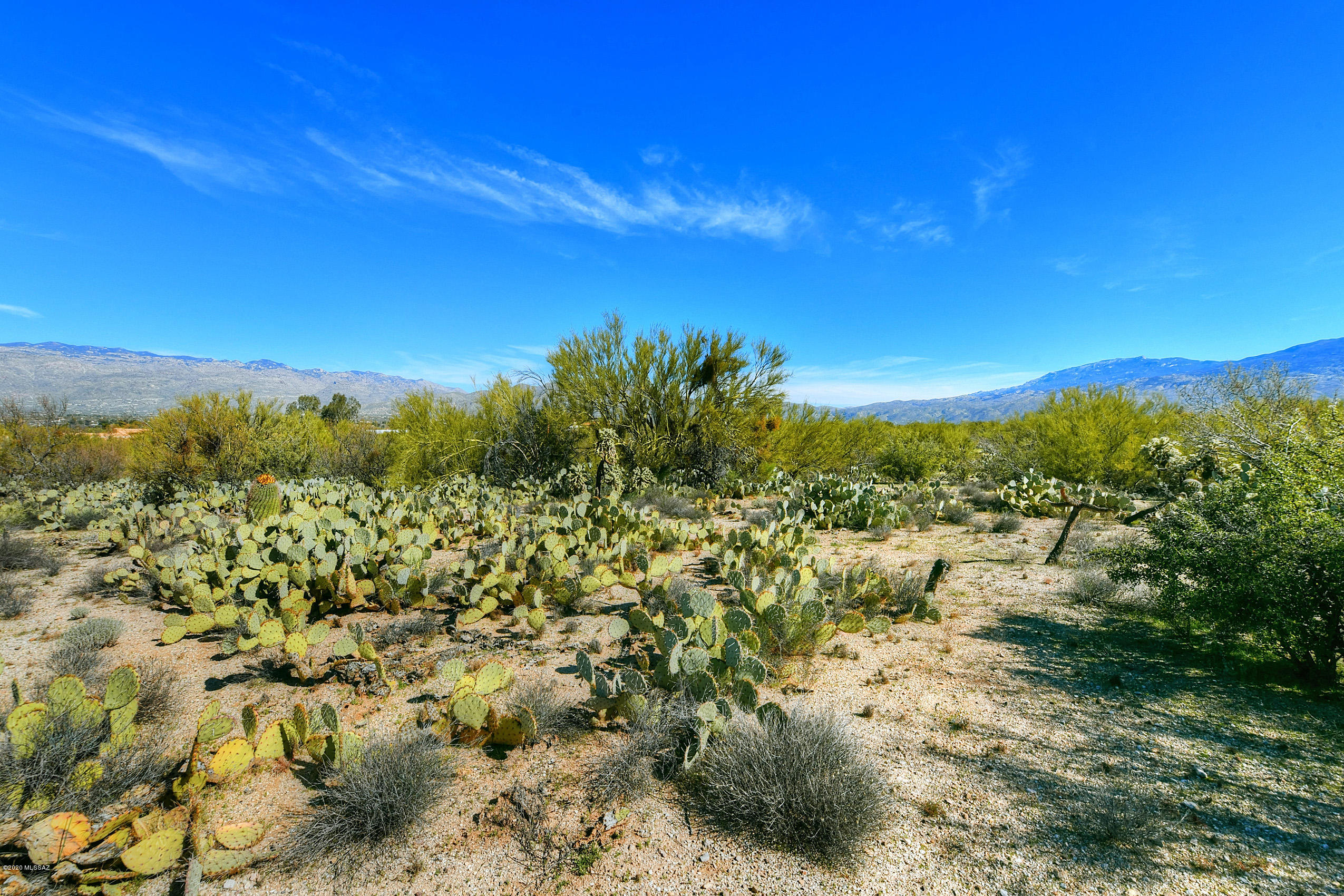 Wild Horse Ranch Estates (1-66) - Land