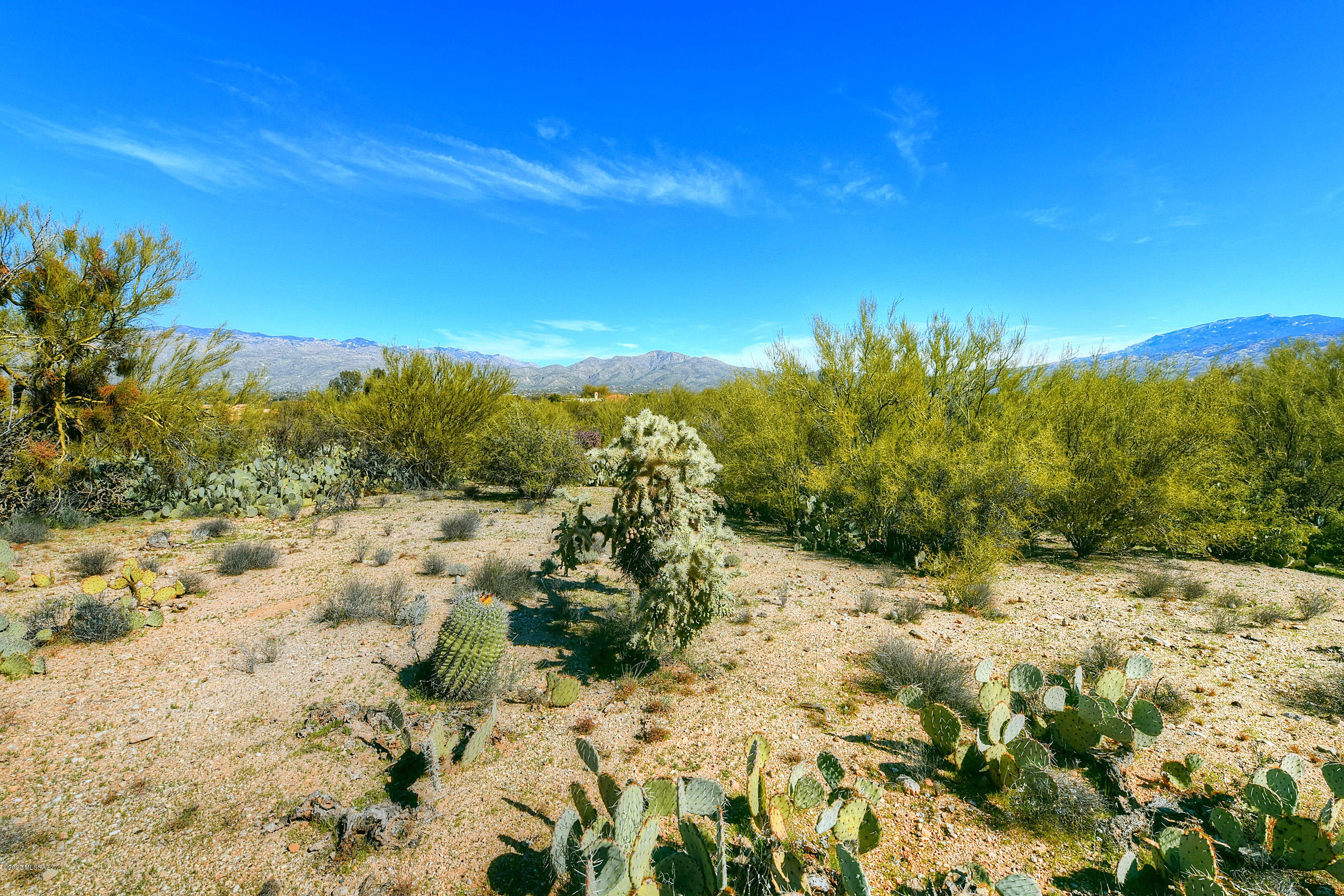 Wild Horse Ranch Estates (1-66) - Land