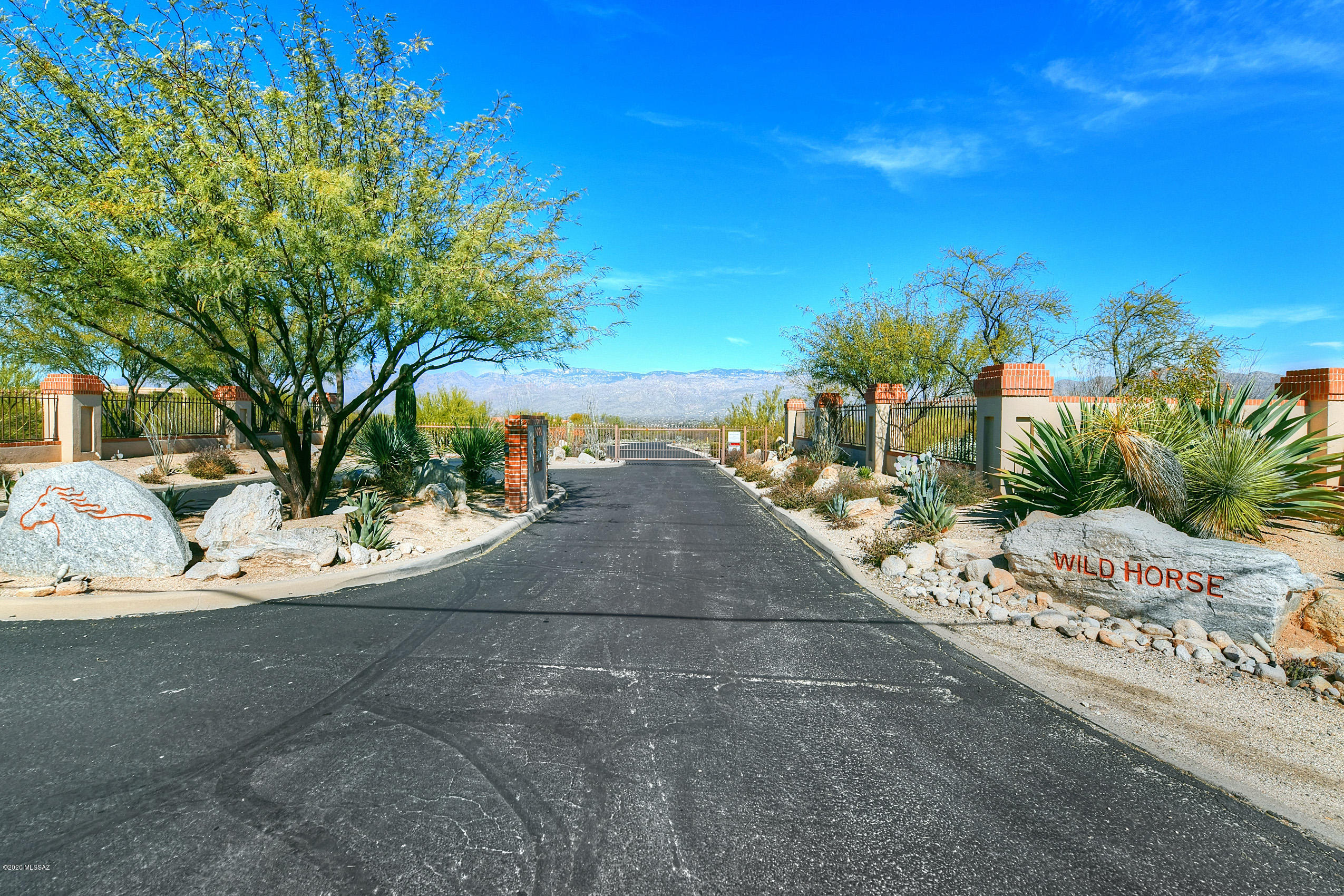 Gorgeous, pristine custom home land on 3.3 acres in the gated Wild Horse community. Esquisite views of the Catalina and Rincon mountains will take your breathe away.  Utilities at lot line. Property is tucked away in cul-de sac. This property has so much potential!!! This wont last long, bring your buyers!!!
