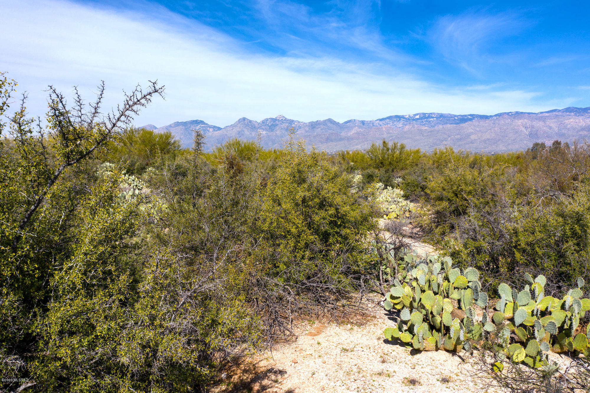 Wild Horse Ranch Estates (1-66) - Land