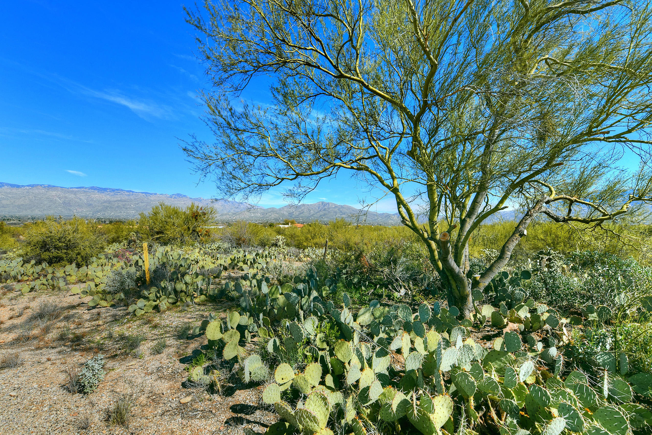 Wild Horse Ranch Estates (1-66) - Land