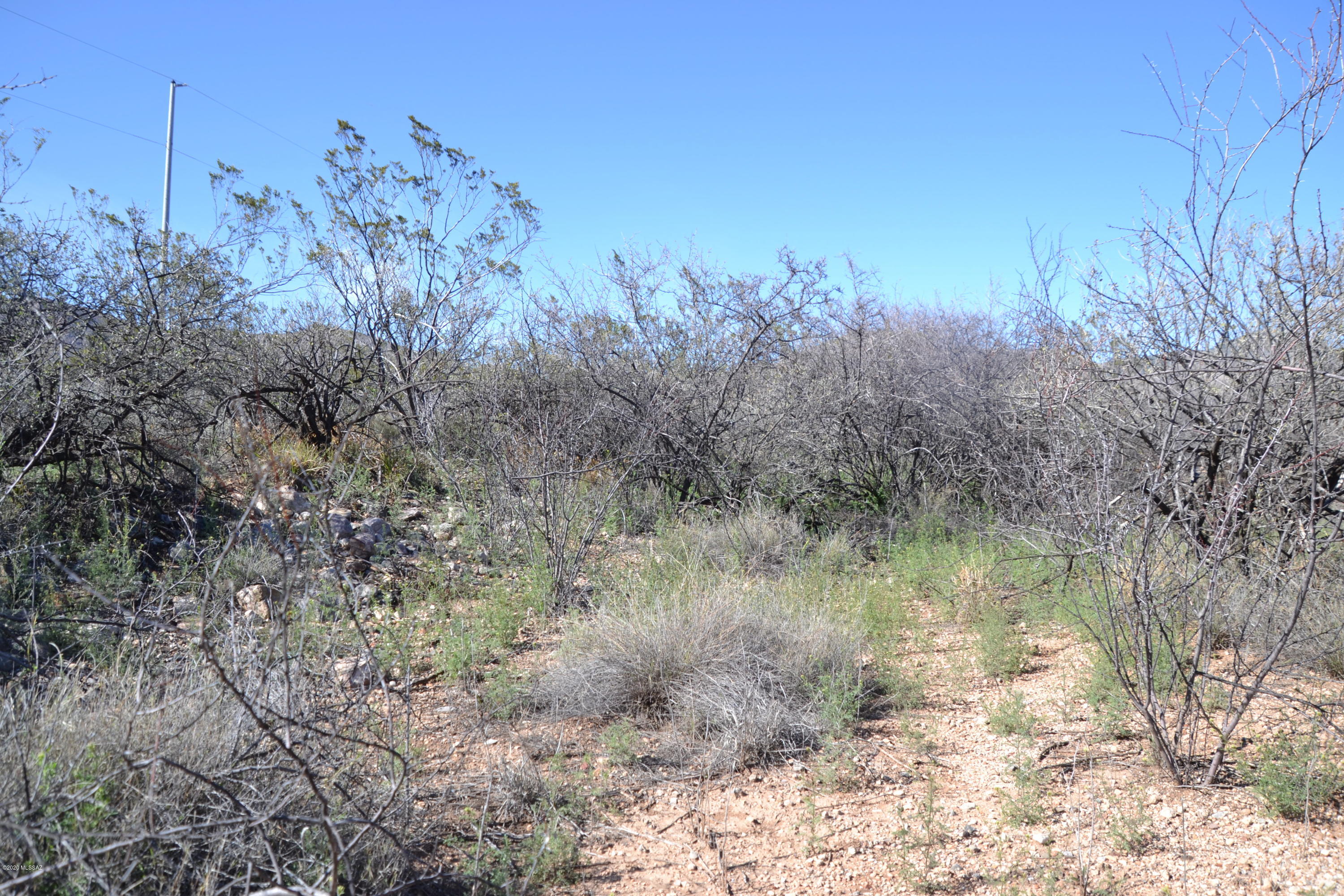 Out Of Pima County - Land