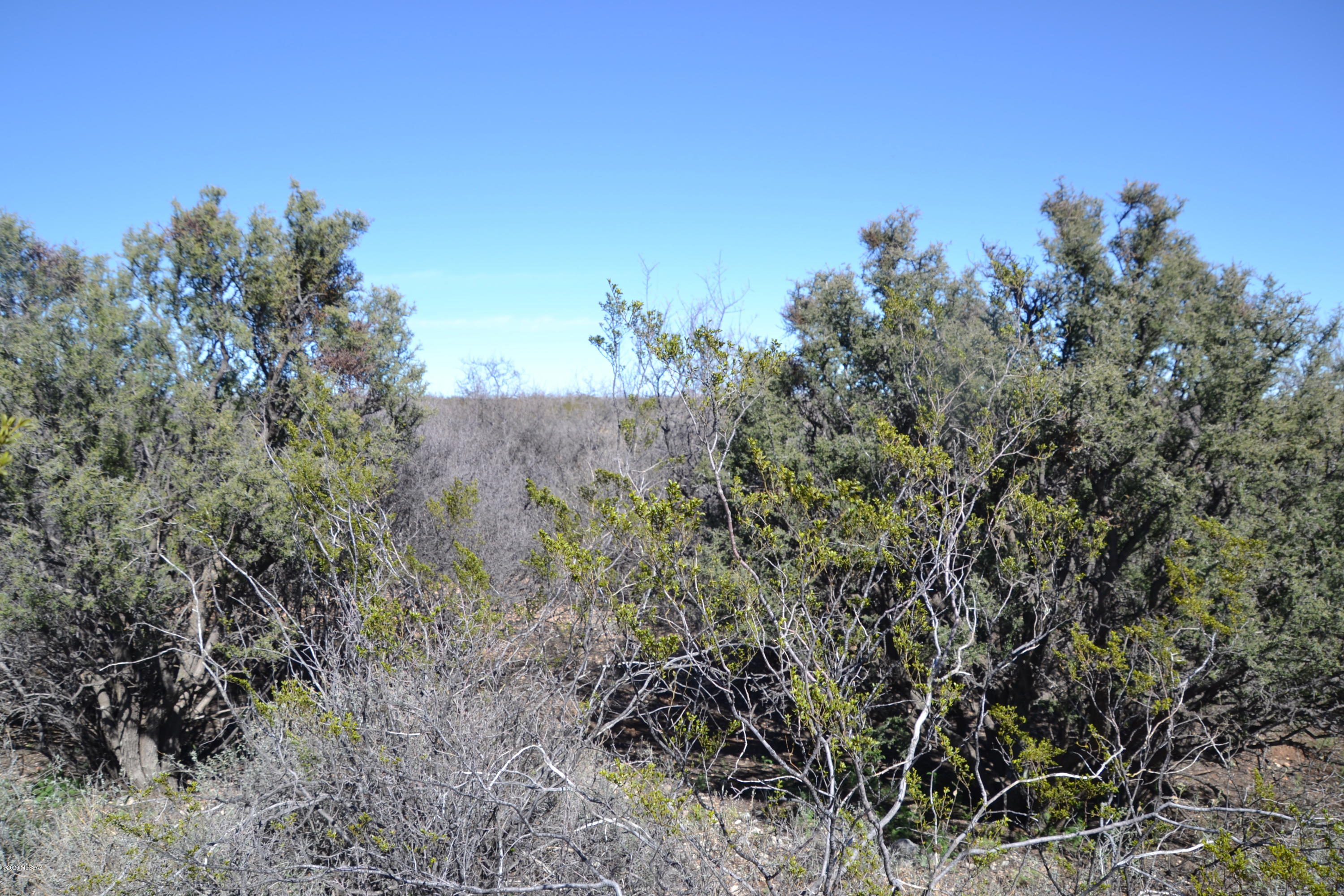 Out Of Pima County - Land