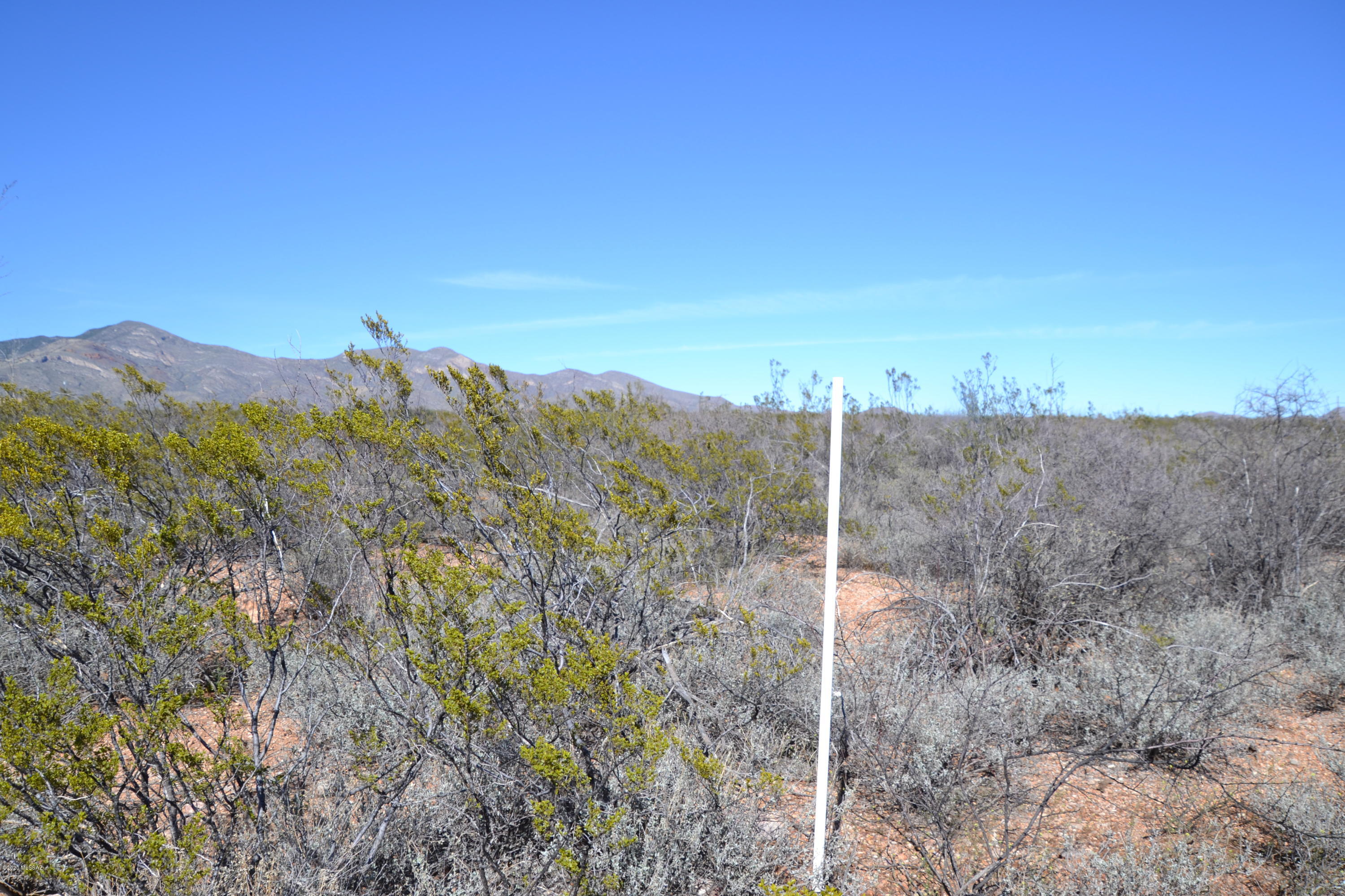 Out Of Pima County - Land