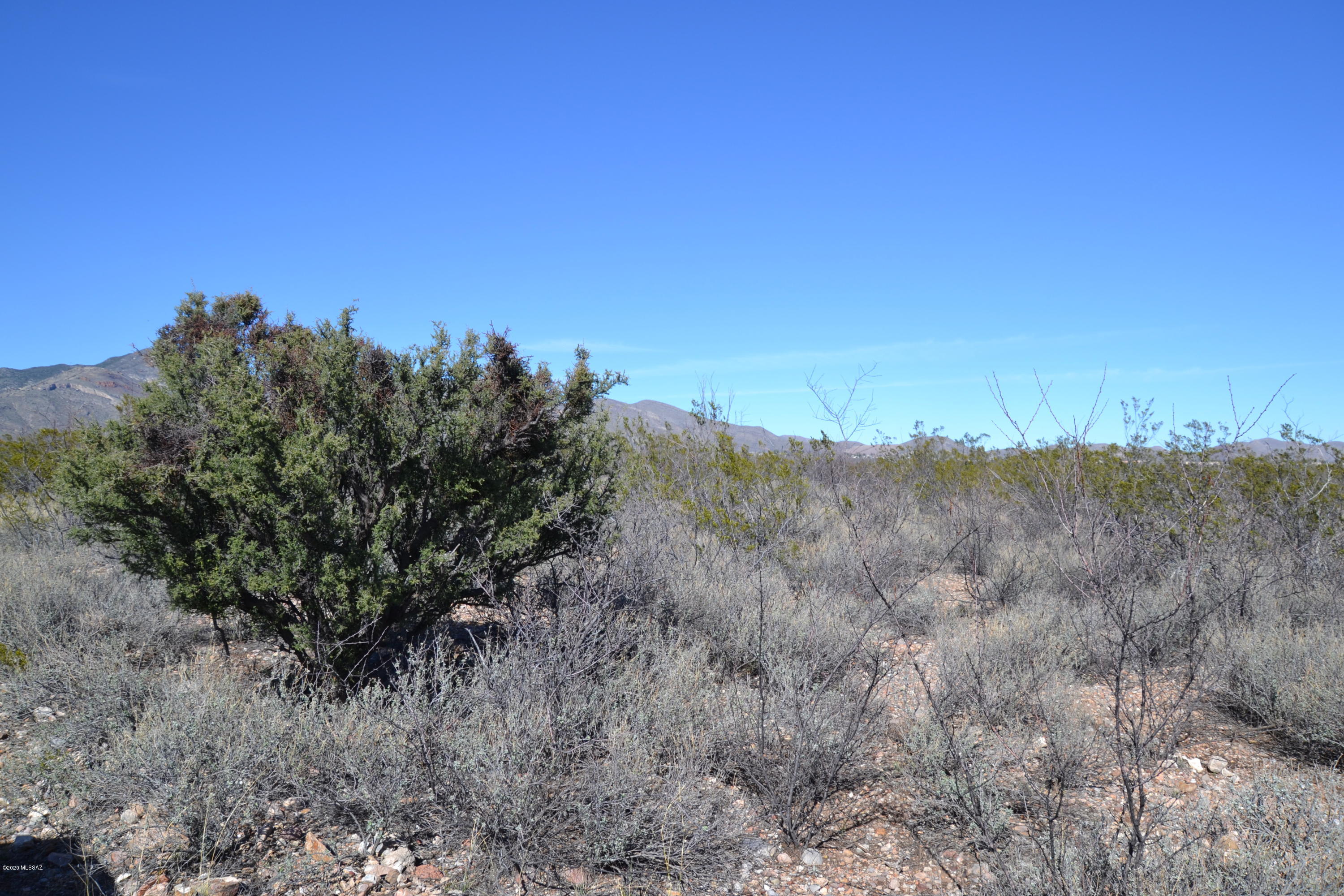 Out Of Pima County - Land