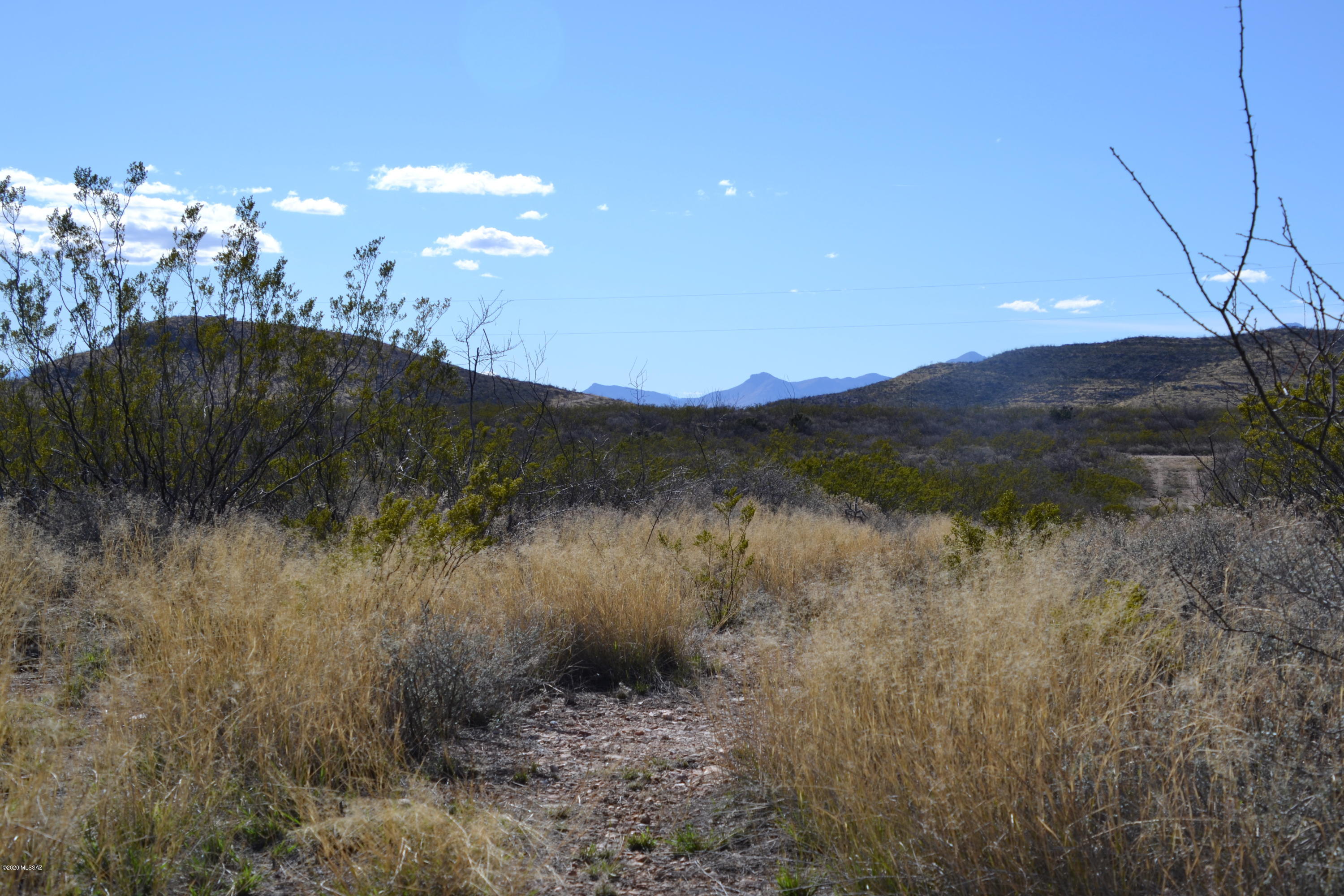 Out Of Pima County - Land