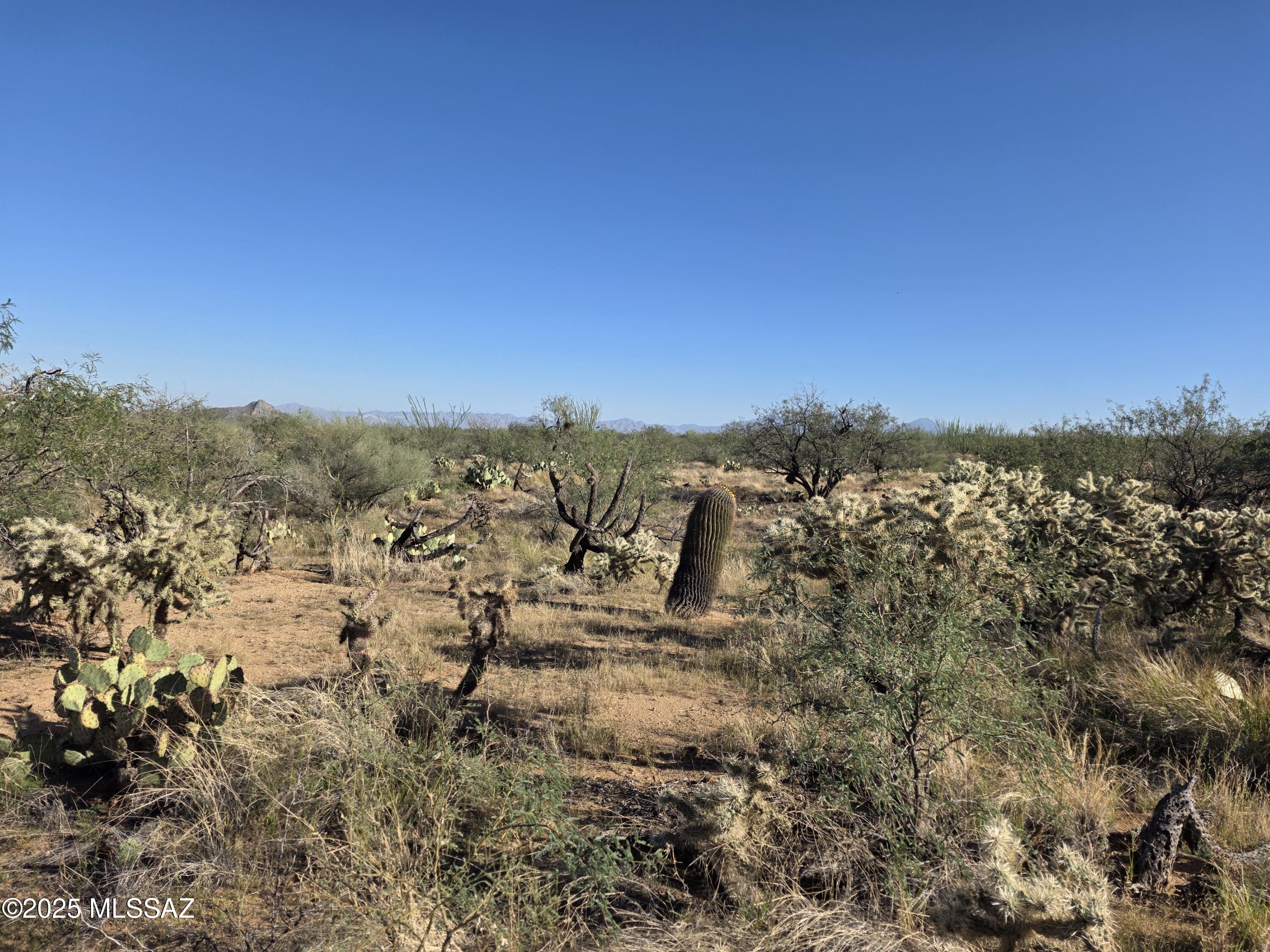 Ocotillo Ranches (1-44) - Land