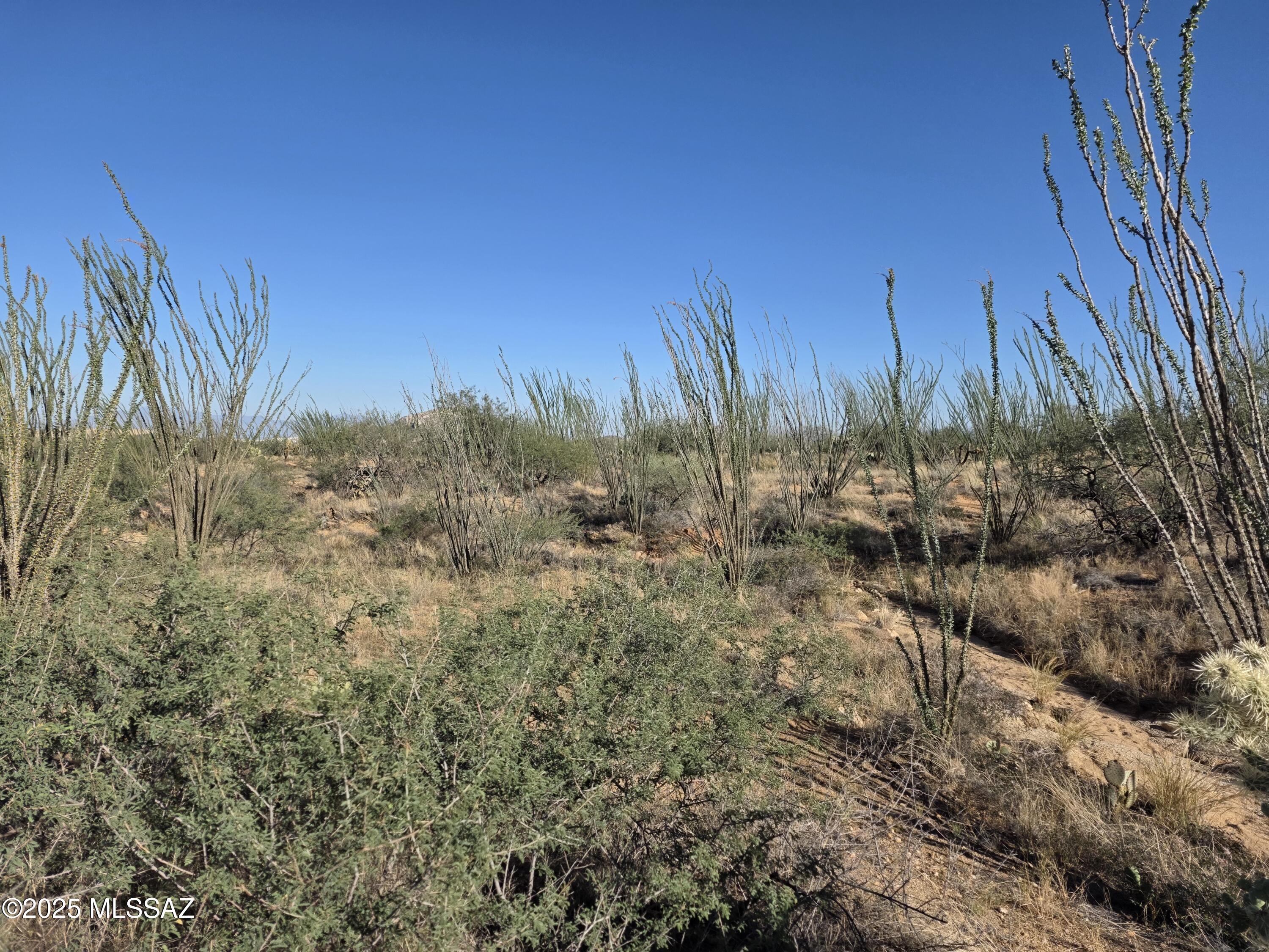 Ocotillo Ranches (1-44) - Land