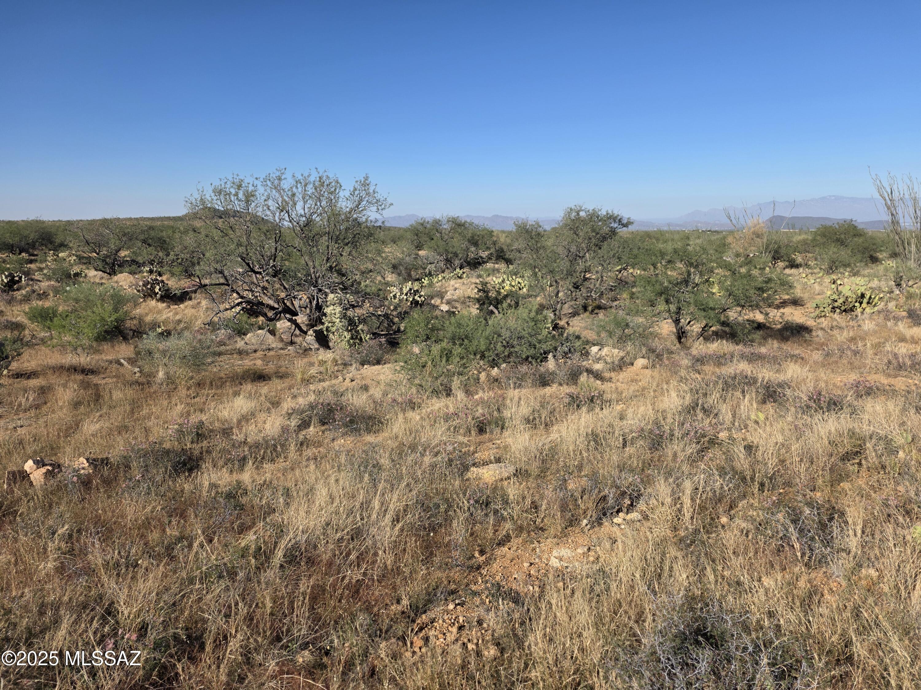 Ocotillo Ranches (1-44) - Land