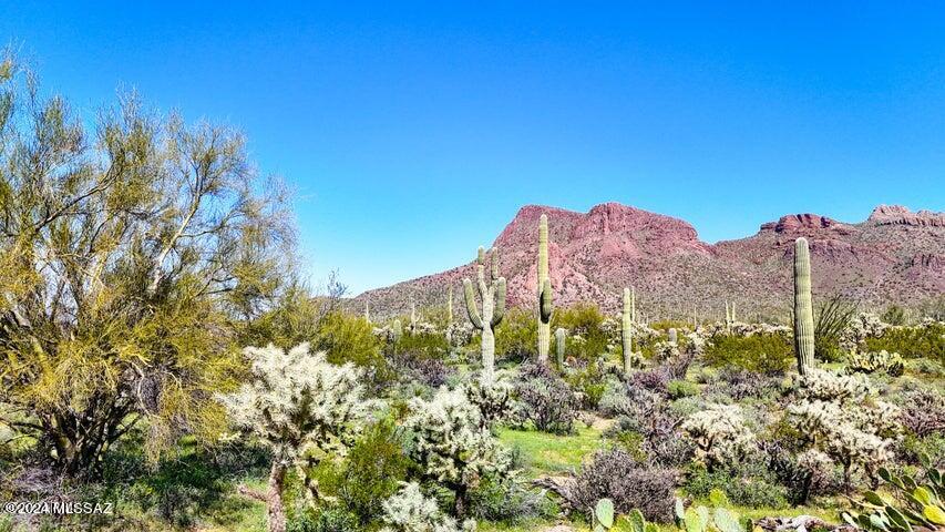 Stunningly beautiful 11.6 acre property in the heart of Picture Rocks. Backing up to national forest on the east boundary with hiking trails and majestic views of the surrounding mountains and mature Saguaro National Park. Water and power are located at Tula Ln. making this an absolute dream home/ranch site.