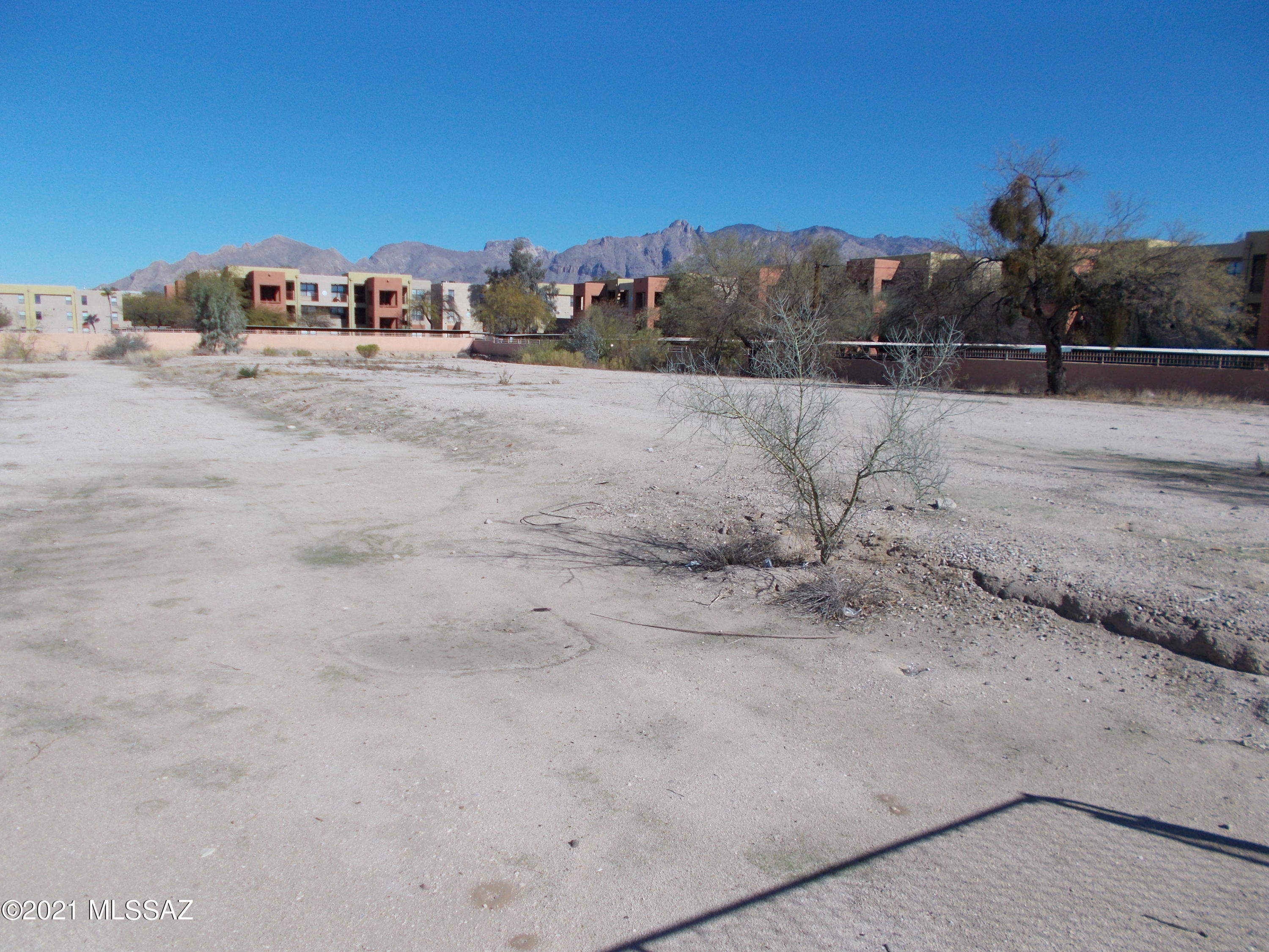 Limberlost Commons (1-20) - Land