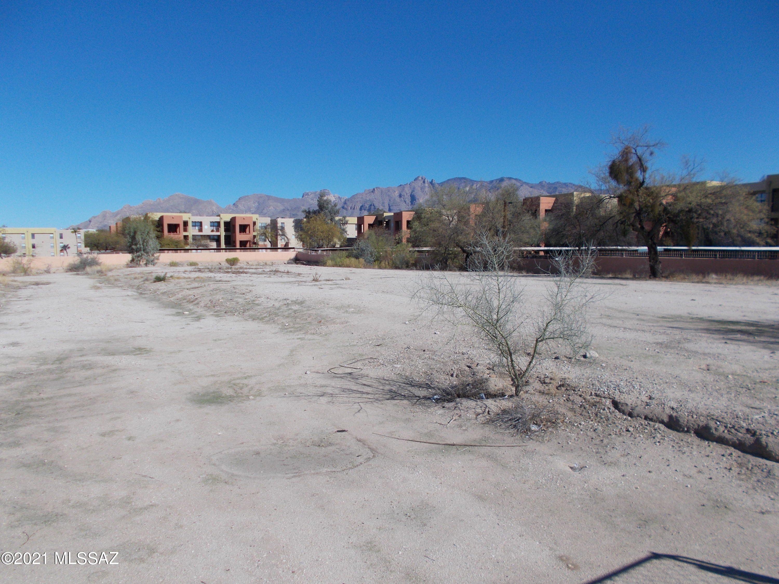 Limberlost Commons (1-20) - Land