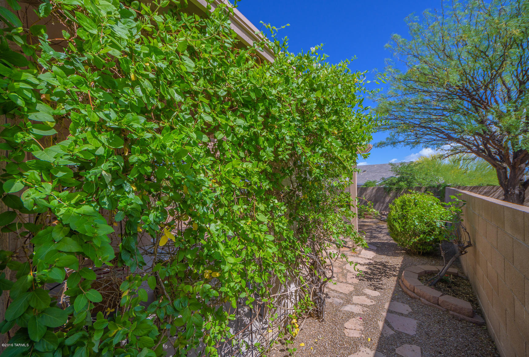Pueblo Estrella At Rita Ranch (1-153) - Residential