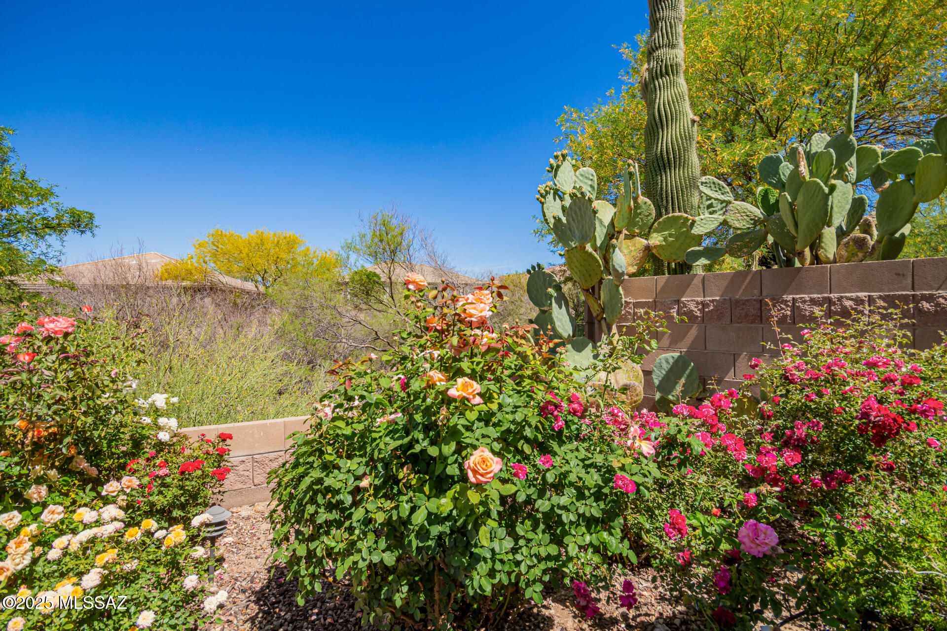 Heritage Highlands V at Dove Mountain (845-976) - Residential