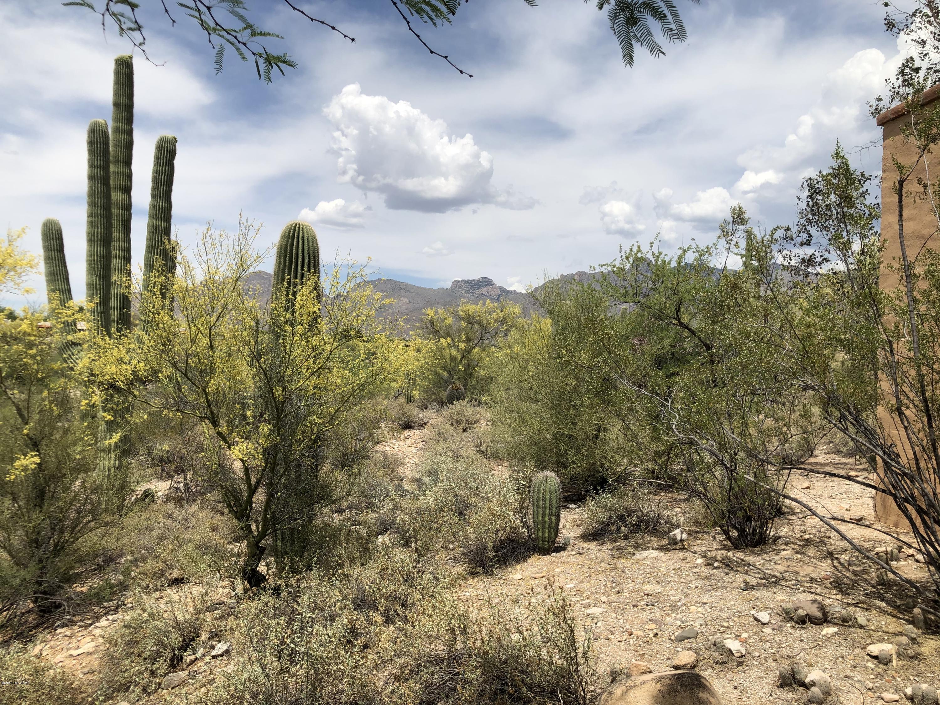 Catalina Foothills Estates NO. 7 - Residential