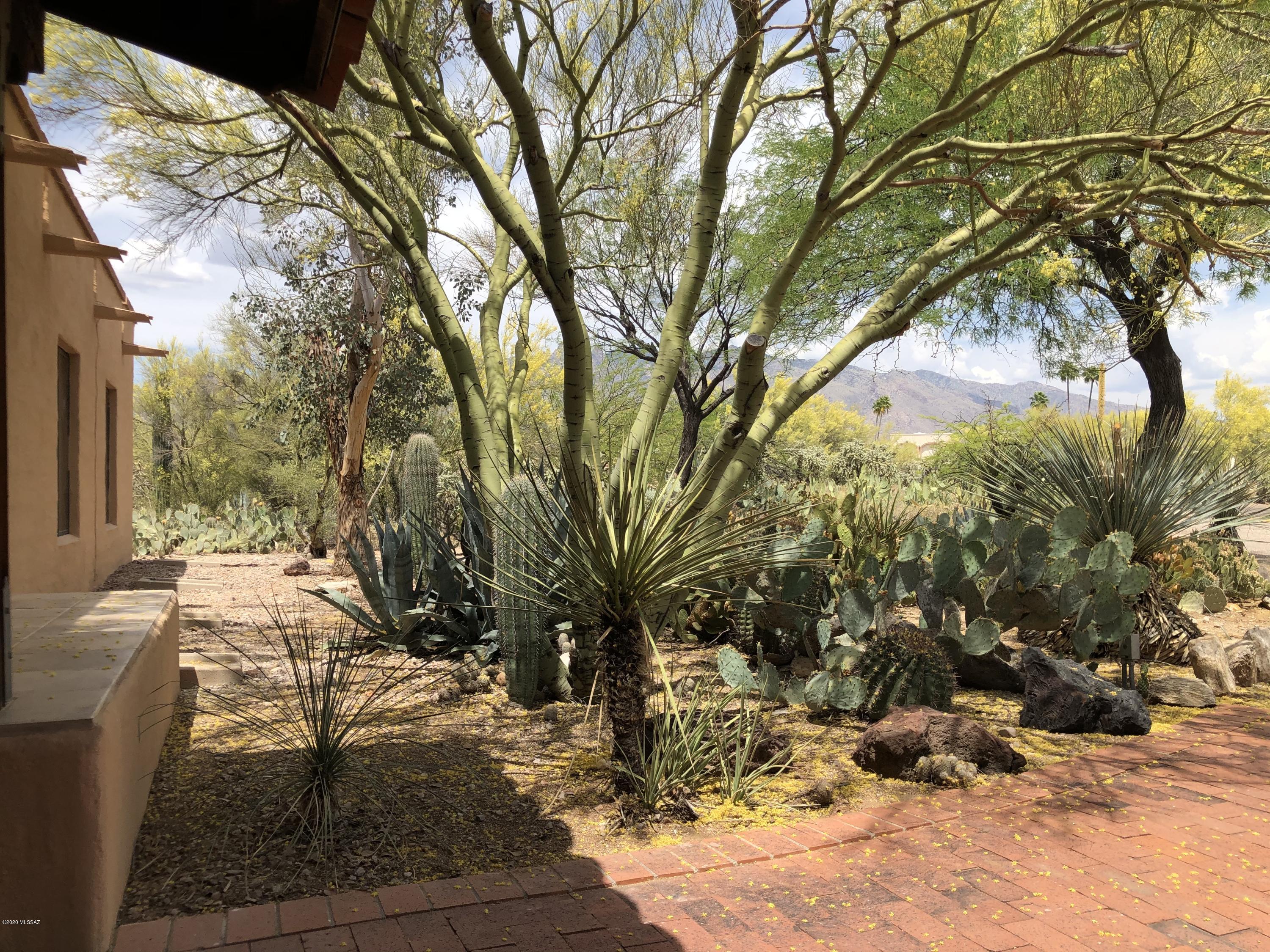 Catalina Foothills Estates NO. 7 - Residential