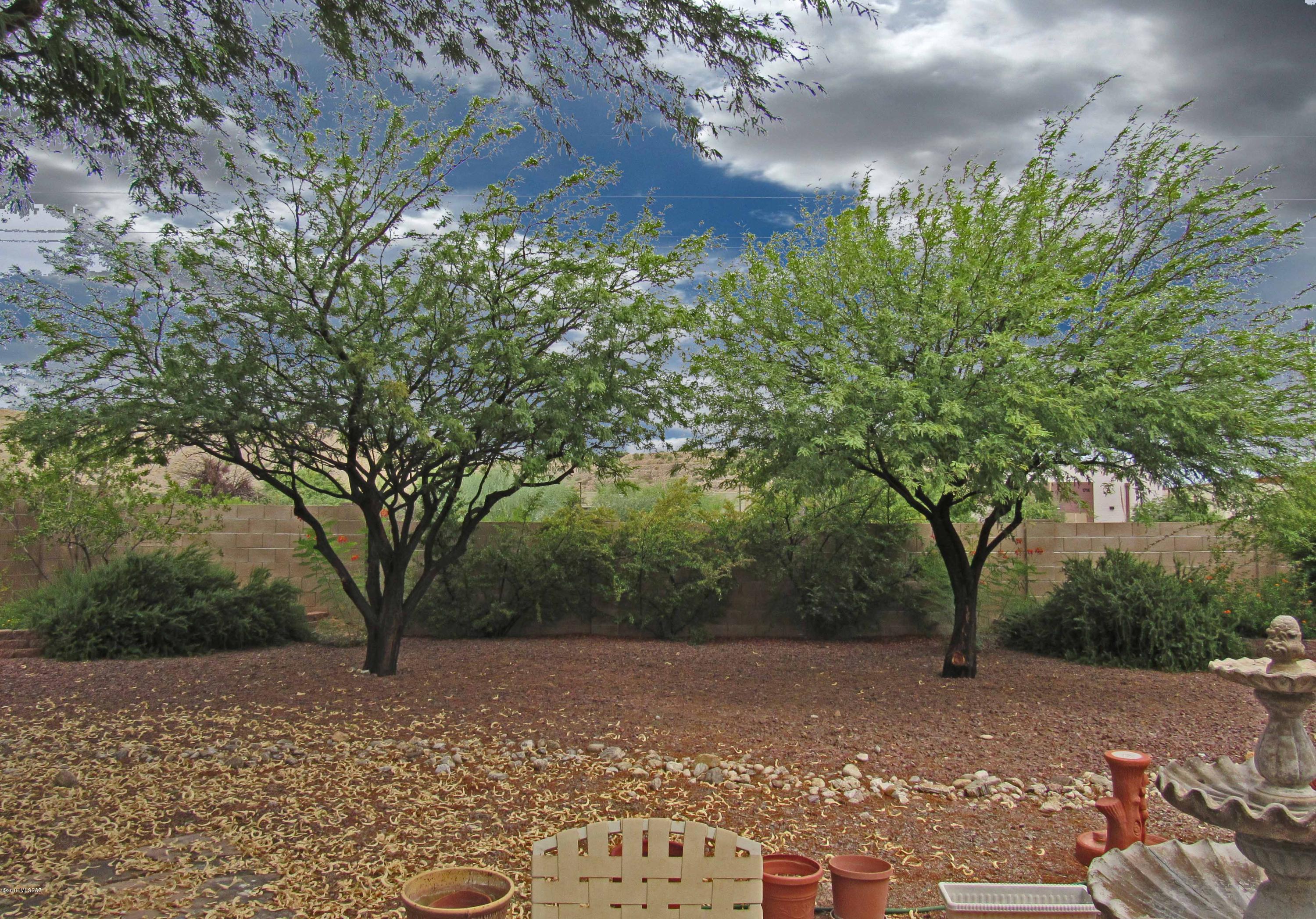 Colonia De Los Alamos - Desert Creek - Residential