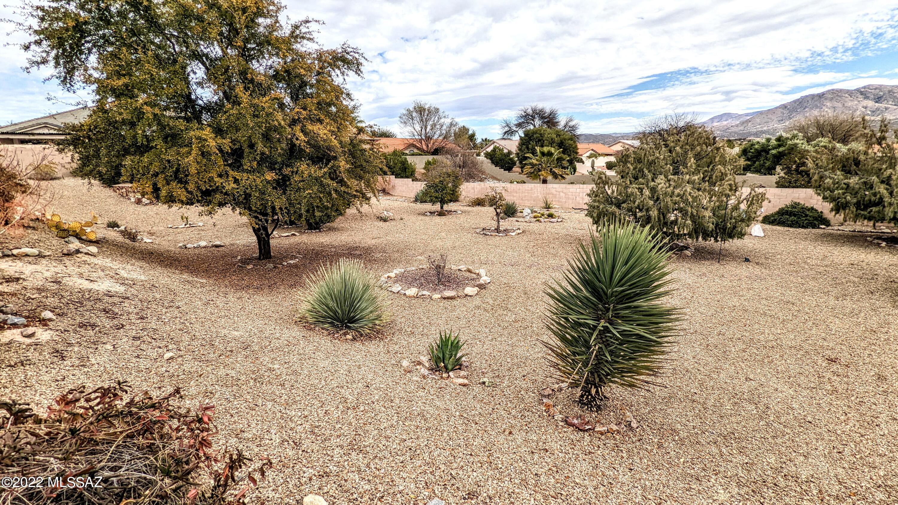 Saddlebrooke - Residential Lease