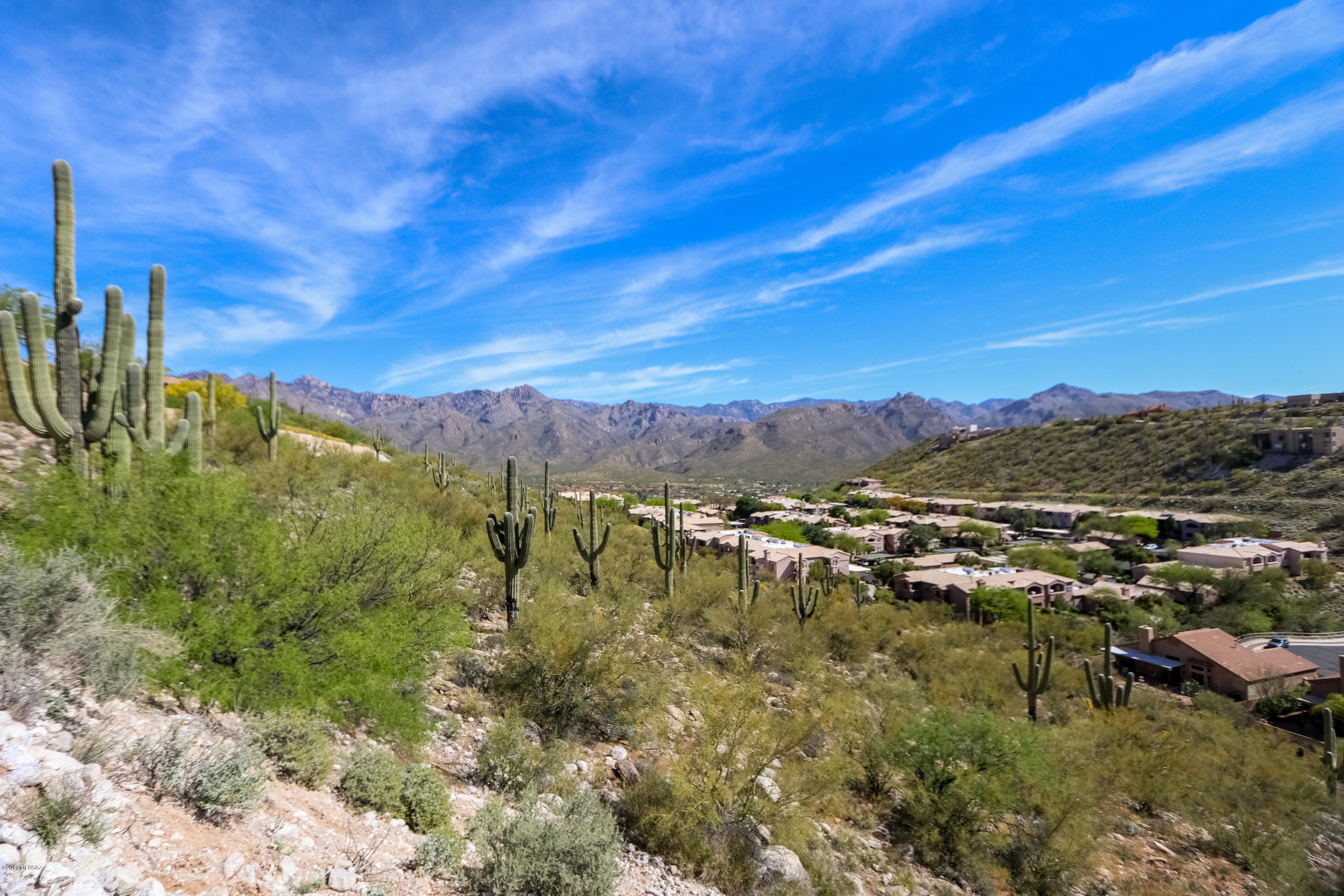 Sabino Mountain (1-290) - Residential