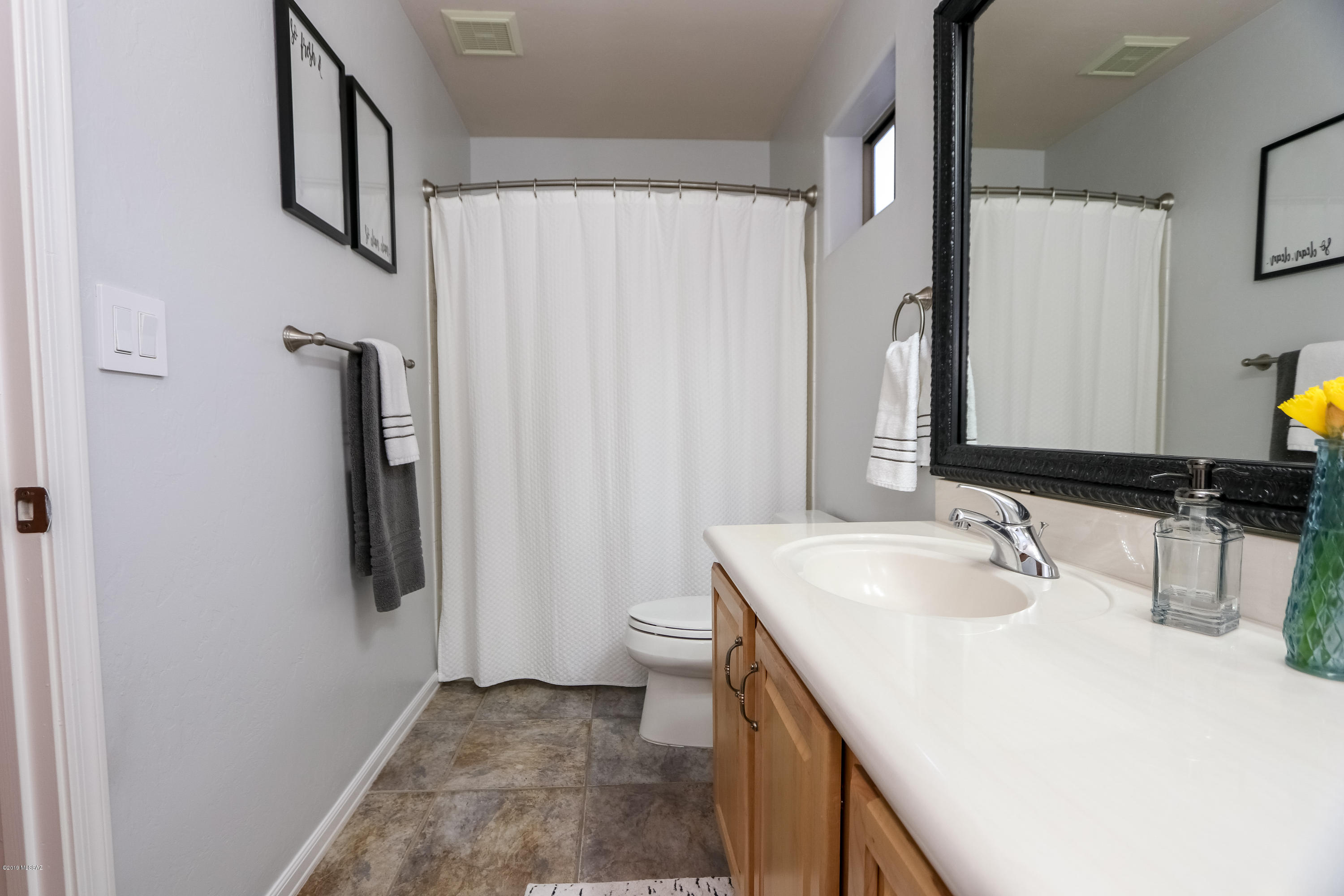 Sabino Mountain (1-290) - Residential