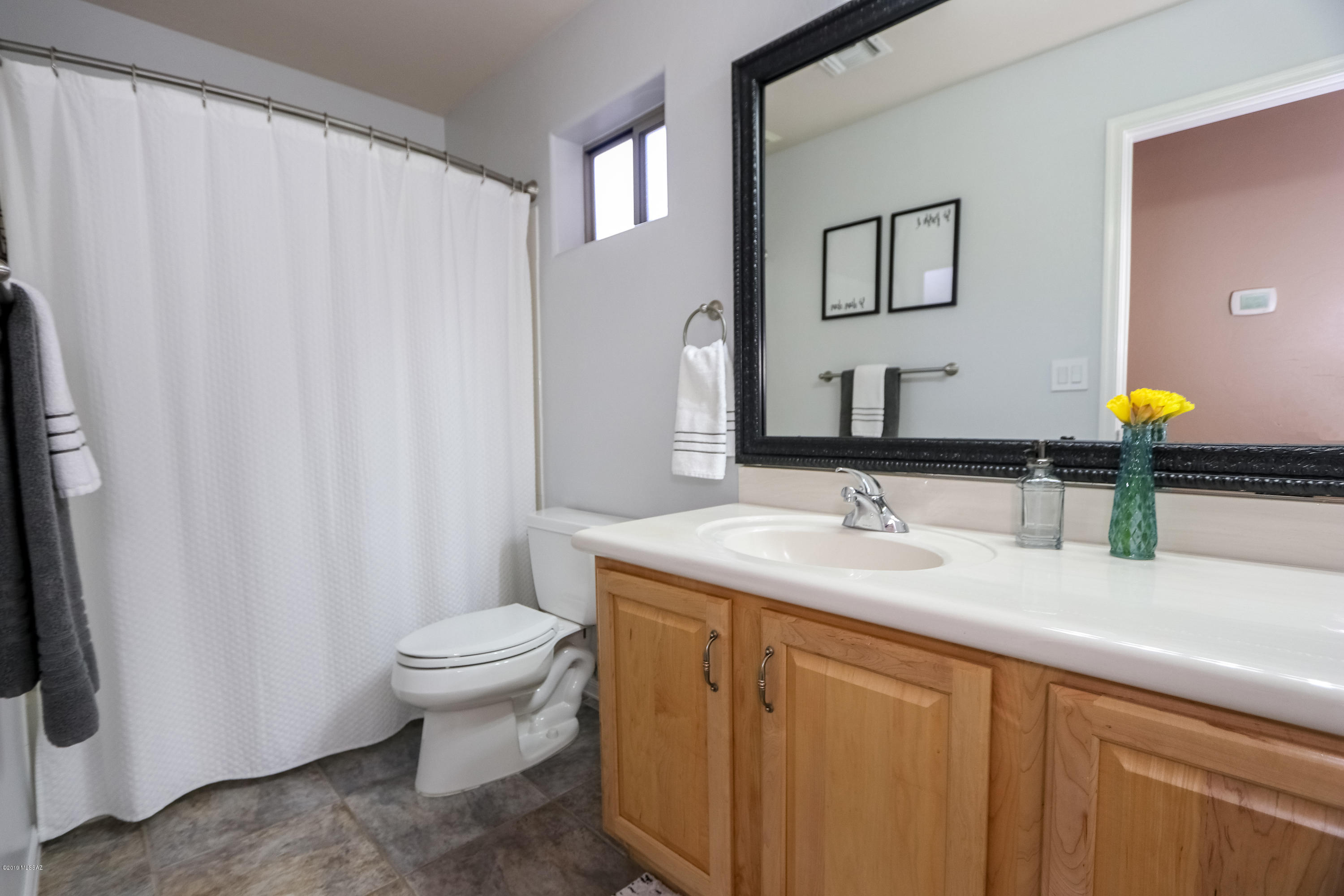 Sabino Mountain (1-290) - Residential