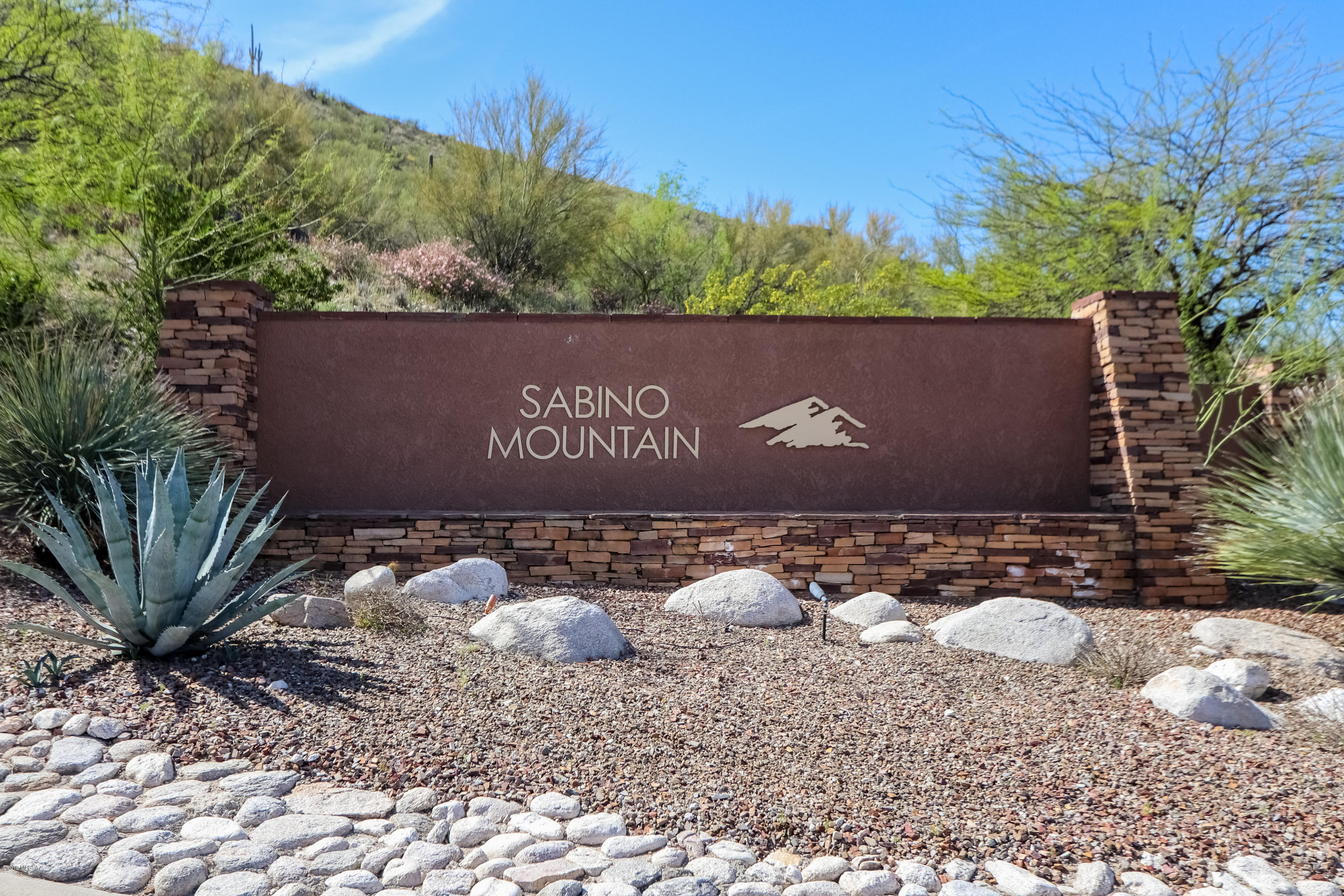 Sabino Mountain (1-290) - Residential