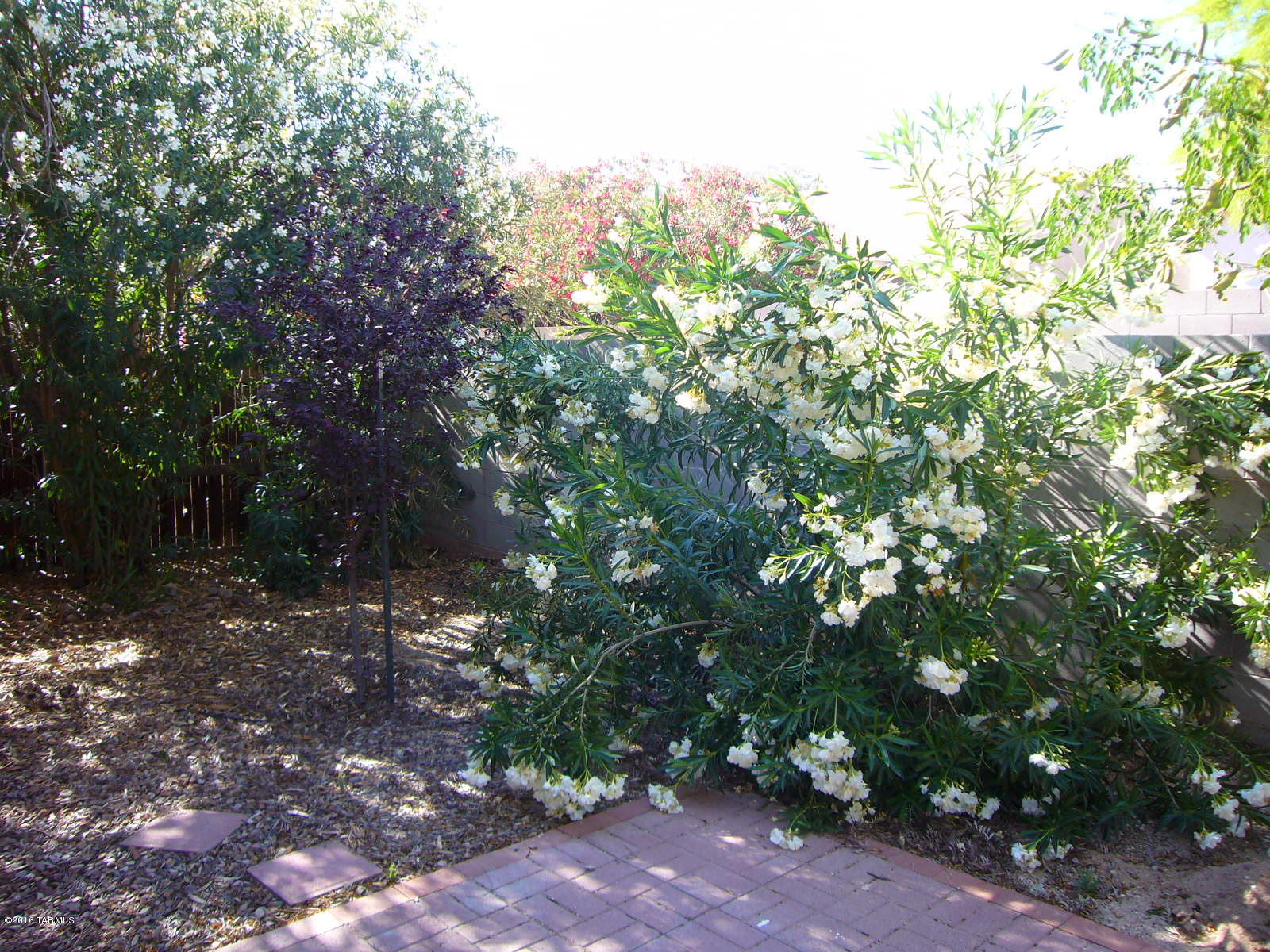 Hobby Horse Ranch (The Patios At) - Residential Lease