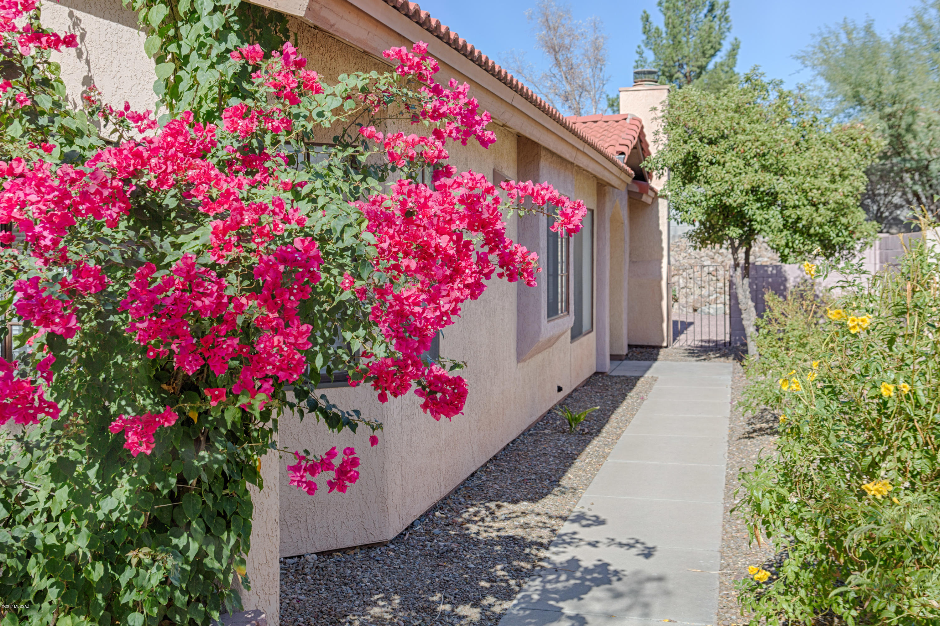 Countryside Vista (1-386) - Residential