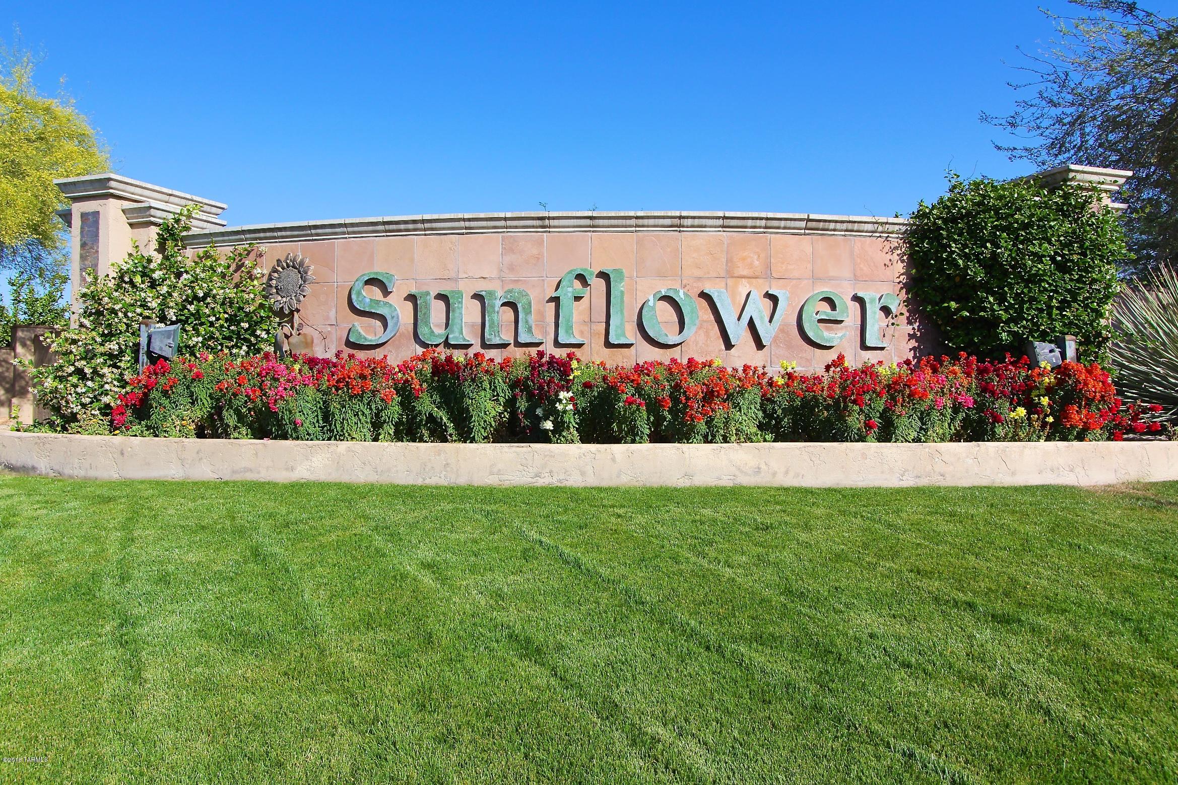 Continental Ranch Sunflower - Residential