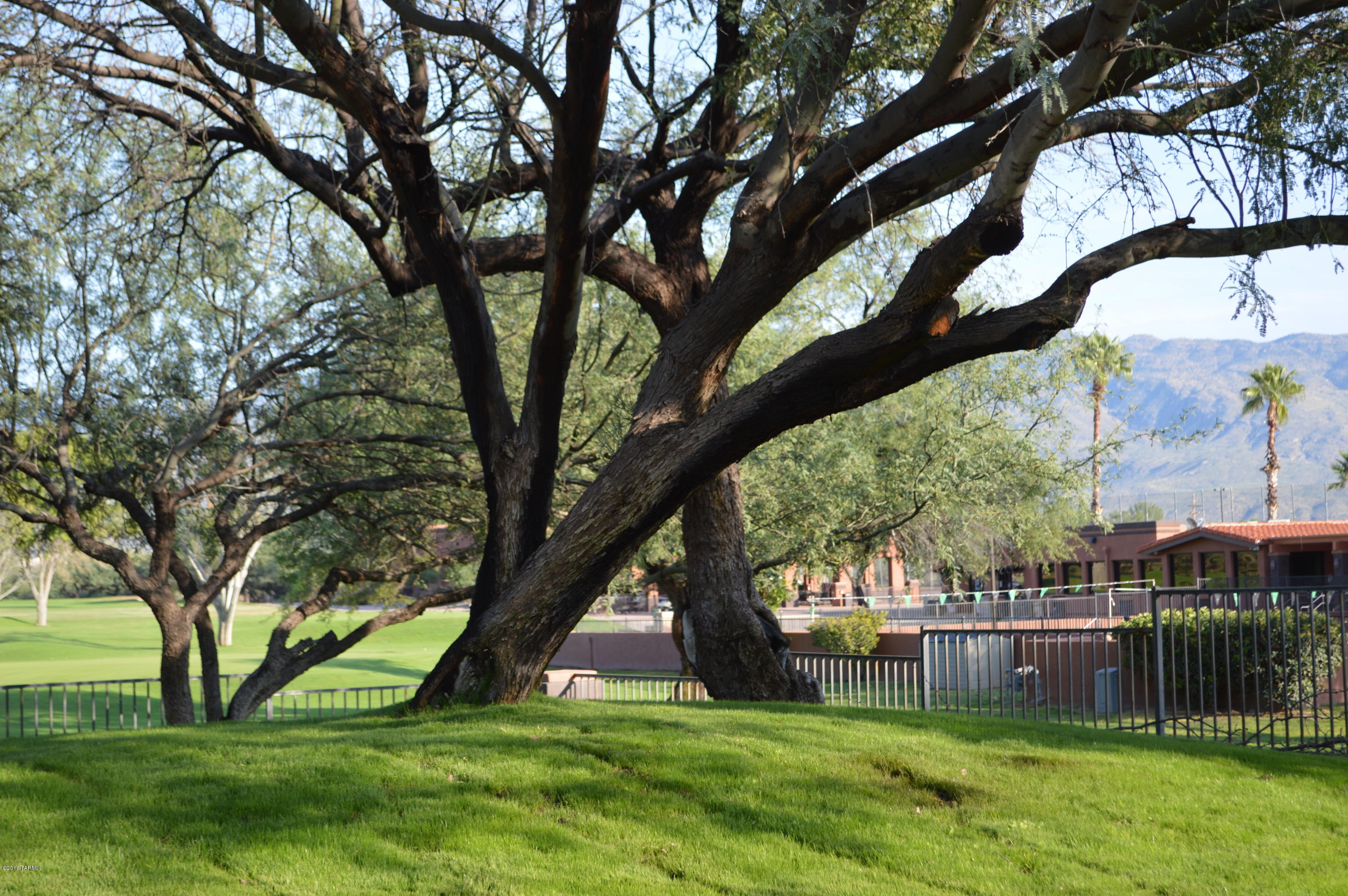 Forty Niners Country Club Estates - Residential