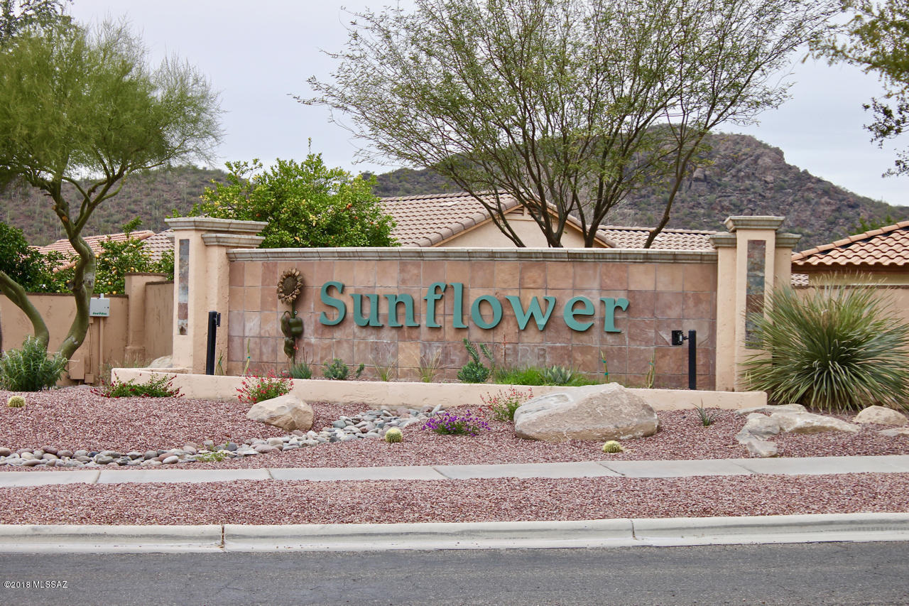 Continental Ranch Sunflower - Residential