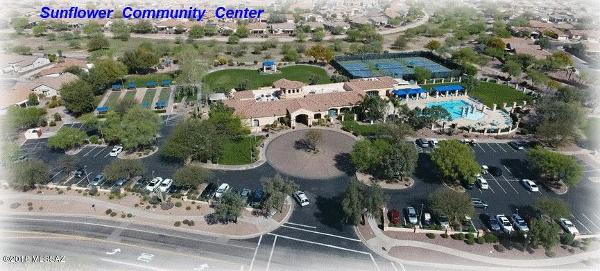 Continental Ranch Sunflower - Residential