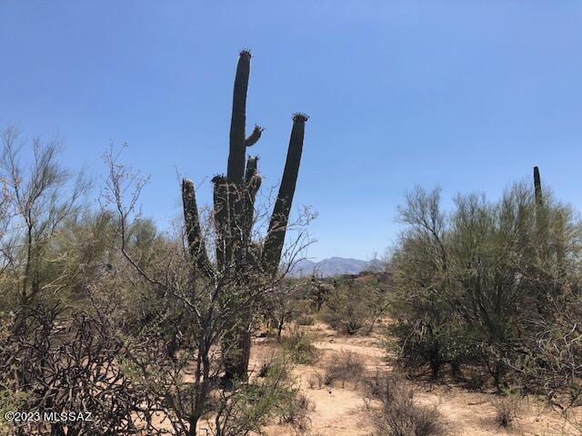 GREAT PRICE for 3.31, SR Zoned Acres! FLAT, BEAUTIFULLU VEGETATED with HUGE SAGUAROS and LUSH, OLD GROWTH DESERT. Views of all surrounding mountain ranges. A quiet, peaceful area with many newer, high and customs. Paved access and one, Tucson Water stub to parcel with electric sleeves along east boundary. No HOA or CCRs add to the property's desirability.  See attached Documents for Soils and Archaeological Reports. Tucson Water map, Survey, etc. Owner's adjacent, 6.6 acres to the south also on the market. Ask listing agent about Hydrology requirements. This is a pleasure to show. Take your clients our and watch them fall in love.