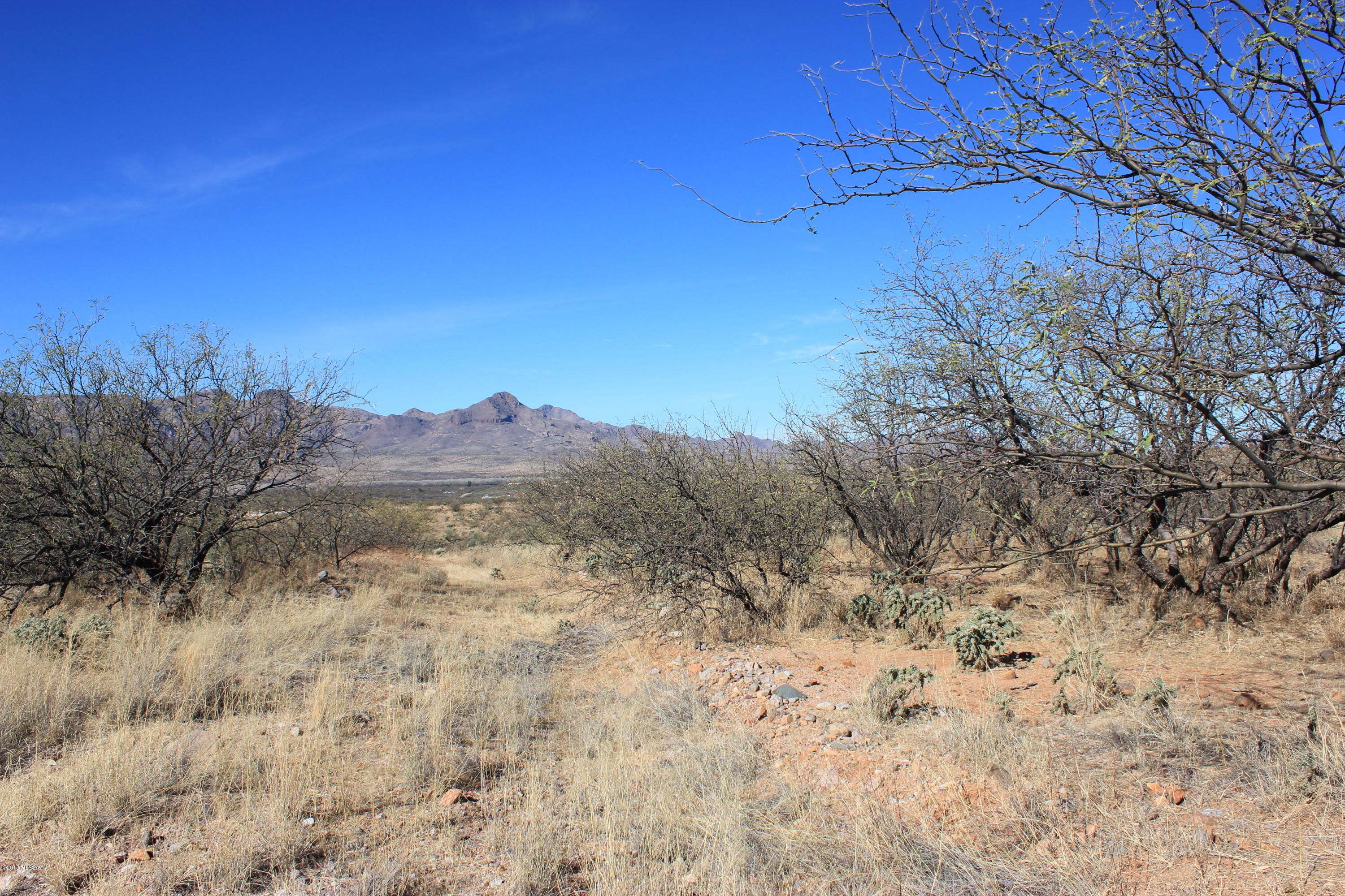 Rio Rico Ranchettes 18 - Land