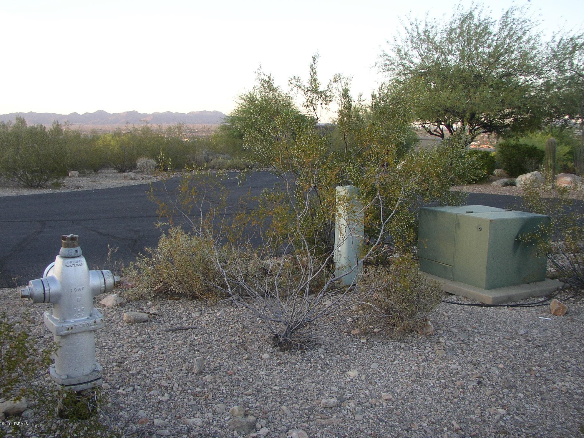 Tucson Mountain Reserve (1-124) - Land