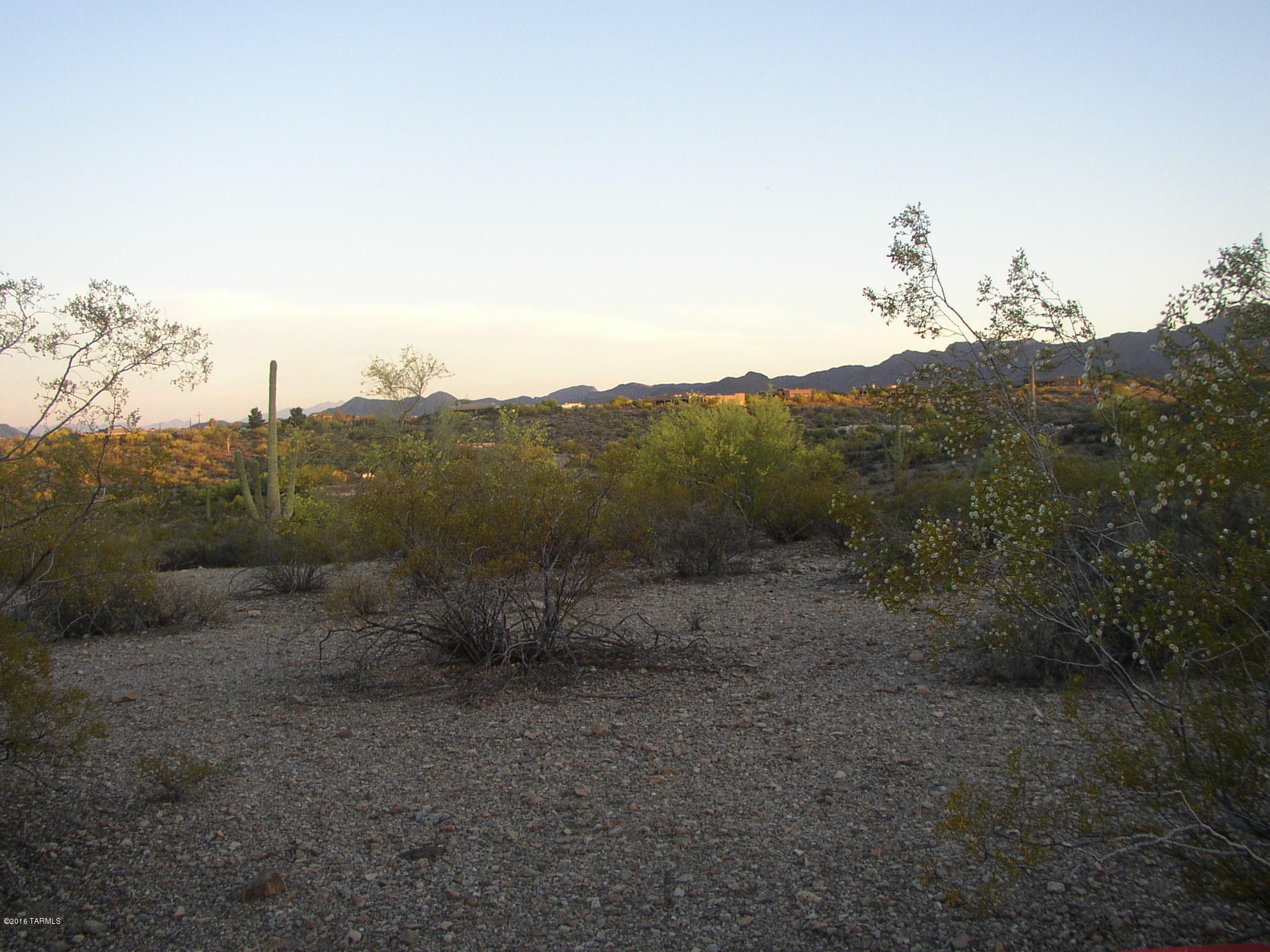 Tucson Mountain Reserve (1-124) - Land
