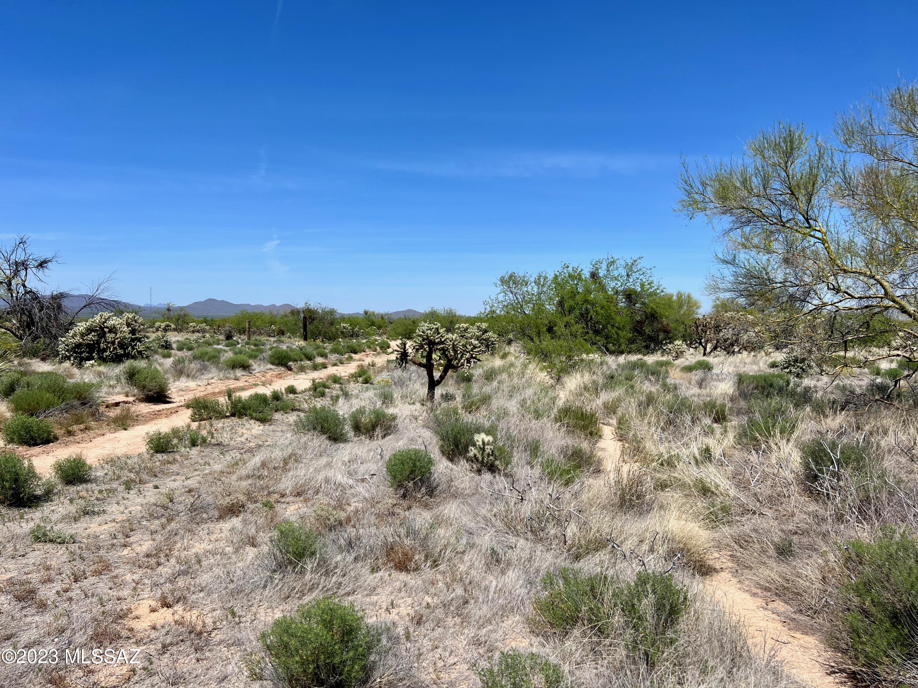Diamond Bell Ranch - Tucson (1-229) - Land