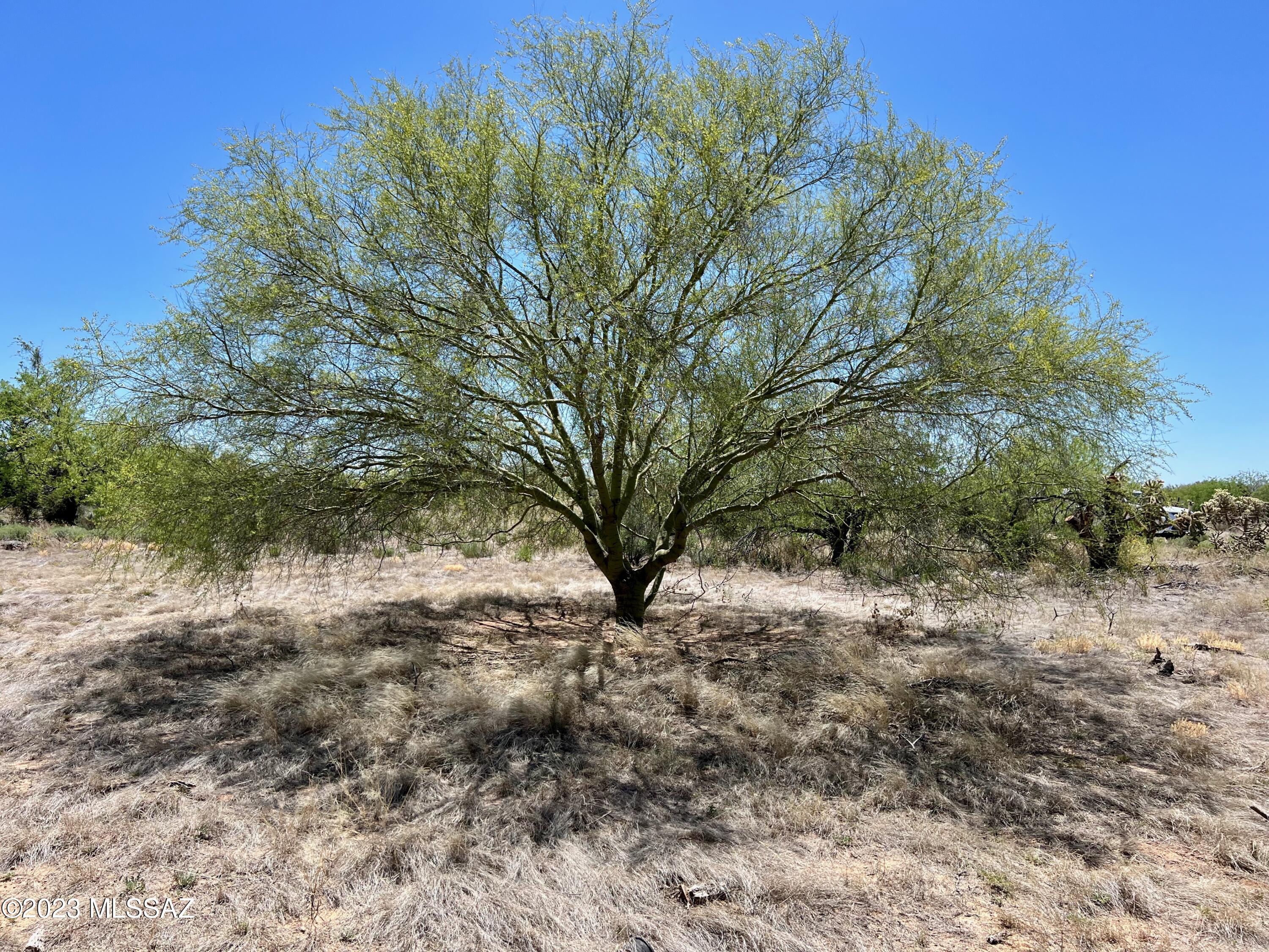 Diamond Bell Ranch - Tucson (1-229) - Land