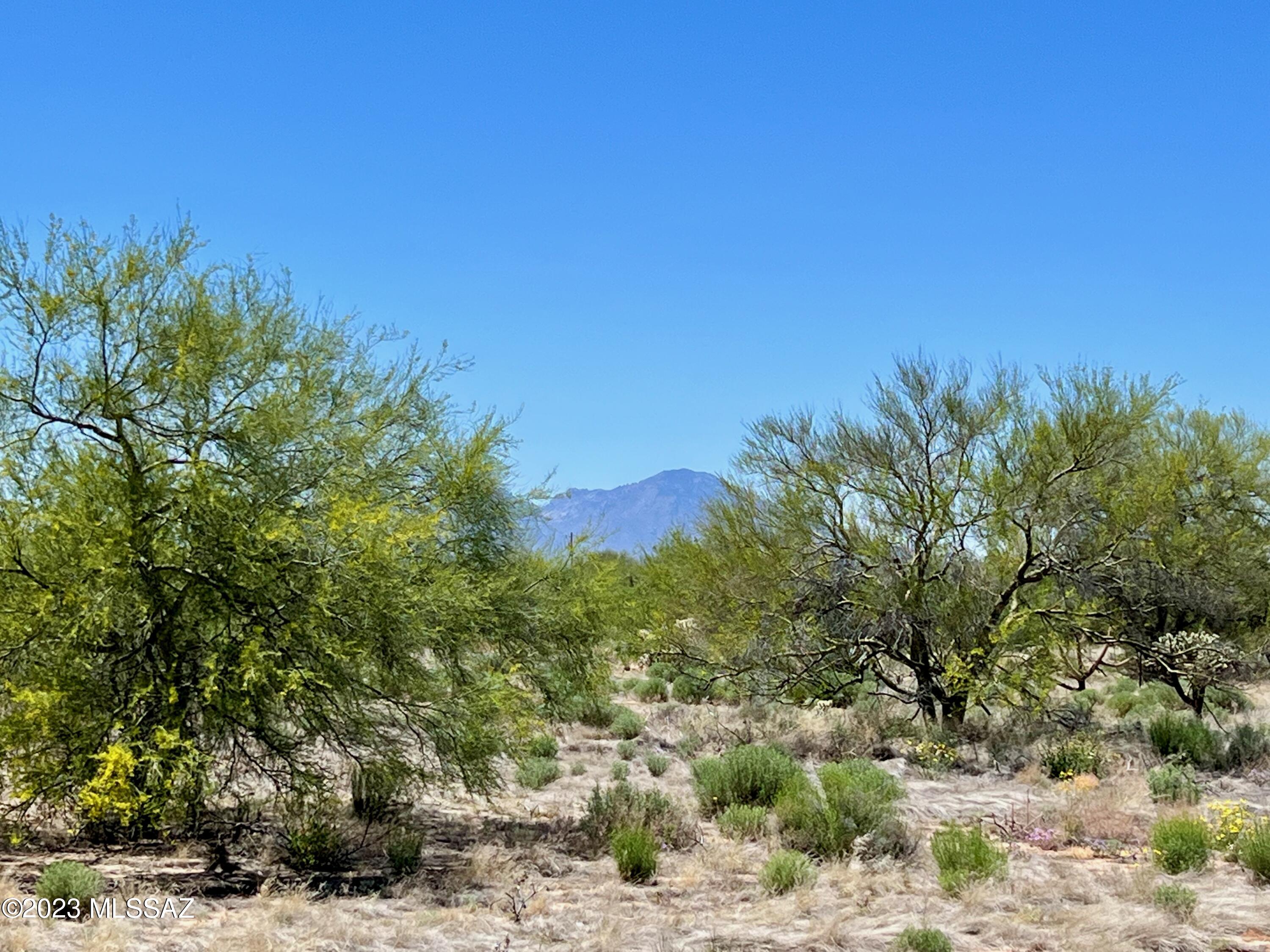 Diamond Bell Ranch - Tucson (1-229) - Land