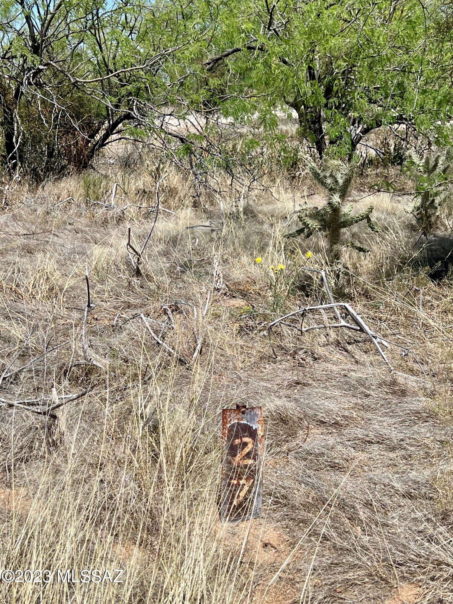 Diamond Bell Ranch - Tucson (1-229) - Land