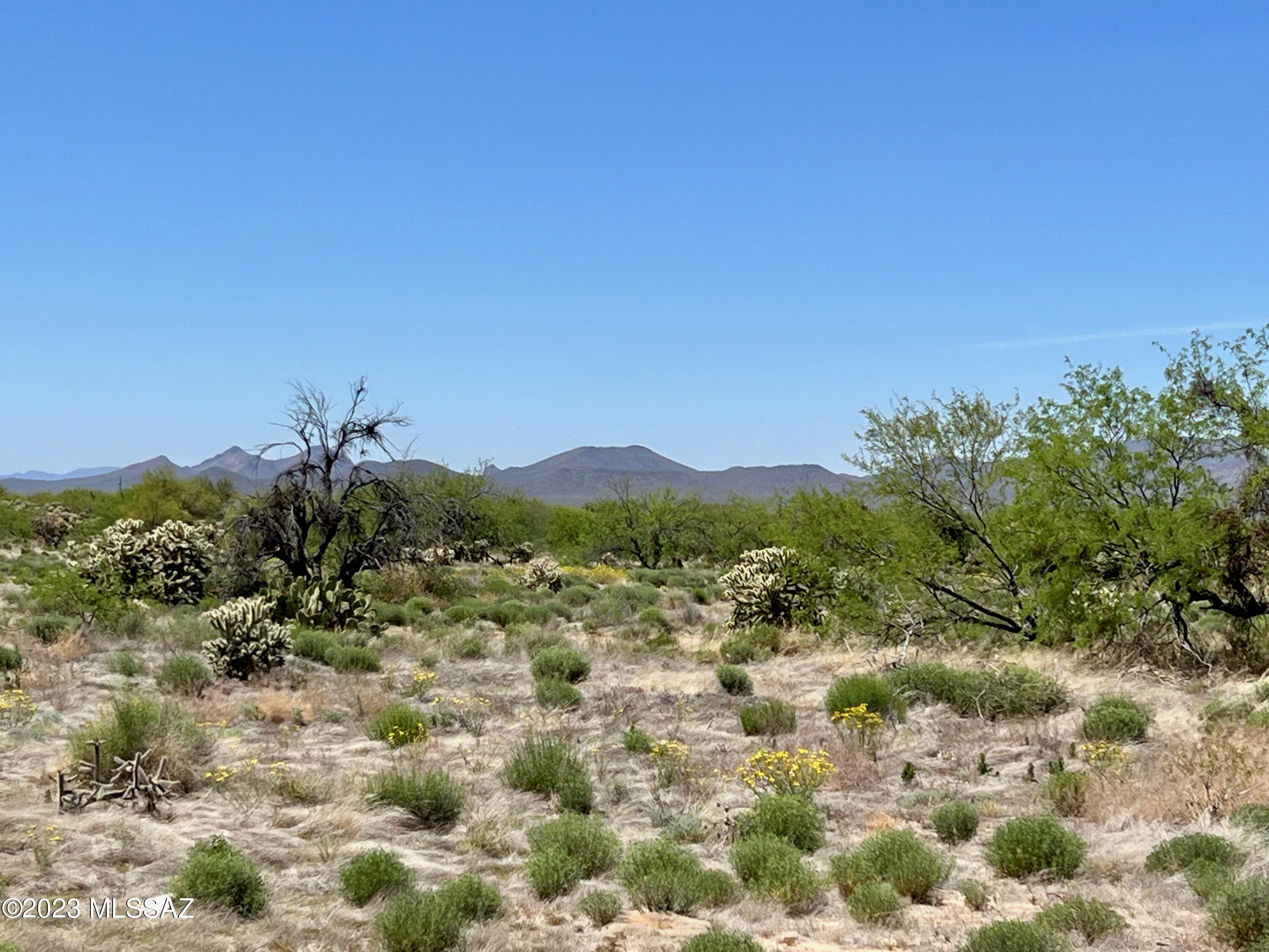 Diamond Bell Ranch - Tucson (1-229) - Land