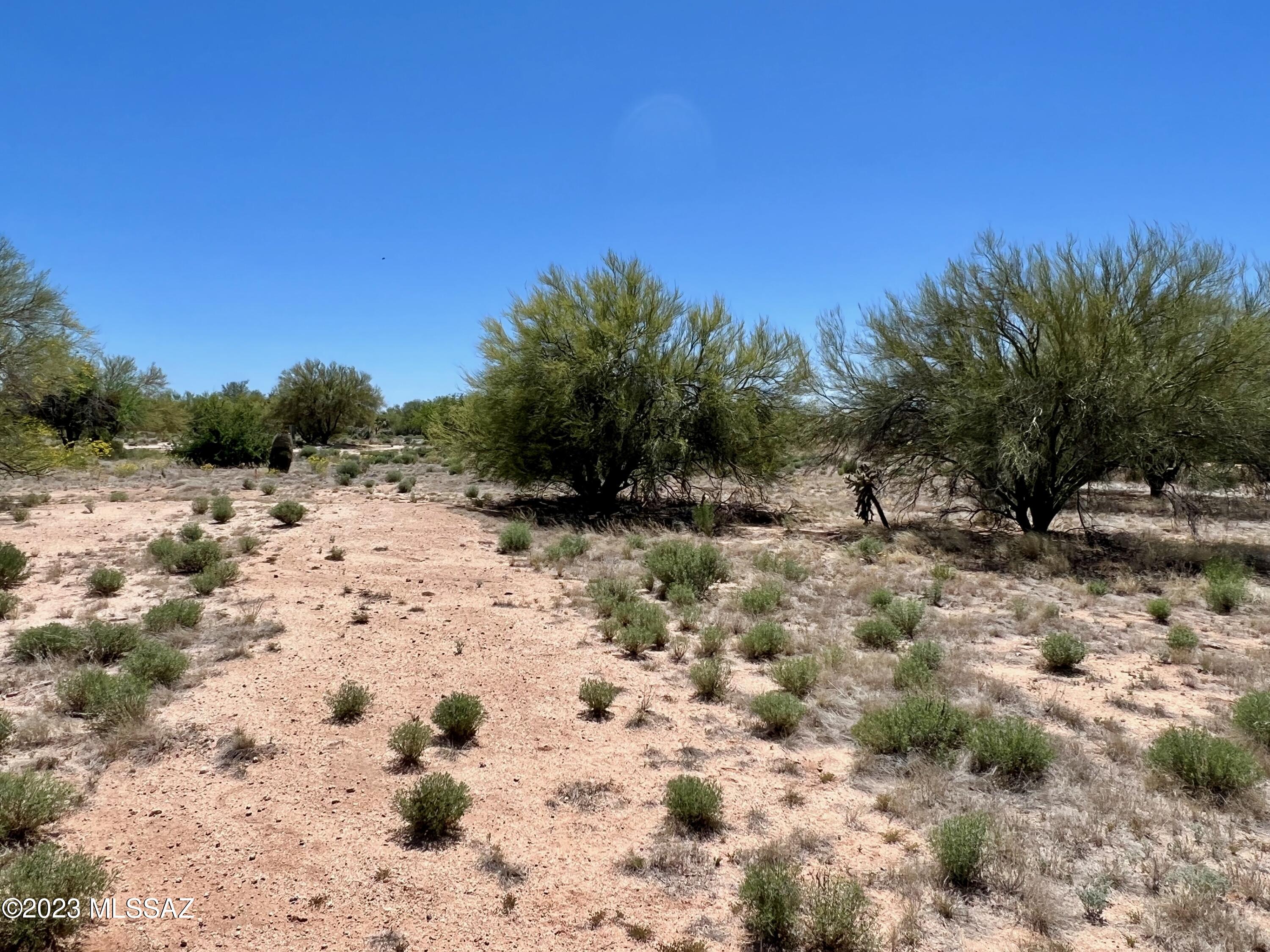 Diamond Bell Ranch - Tucson (1-229) - Land