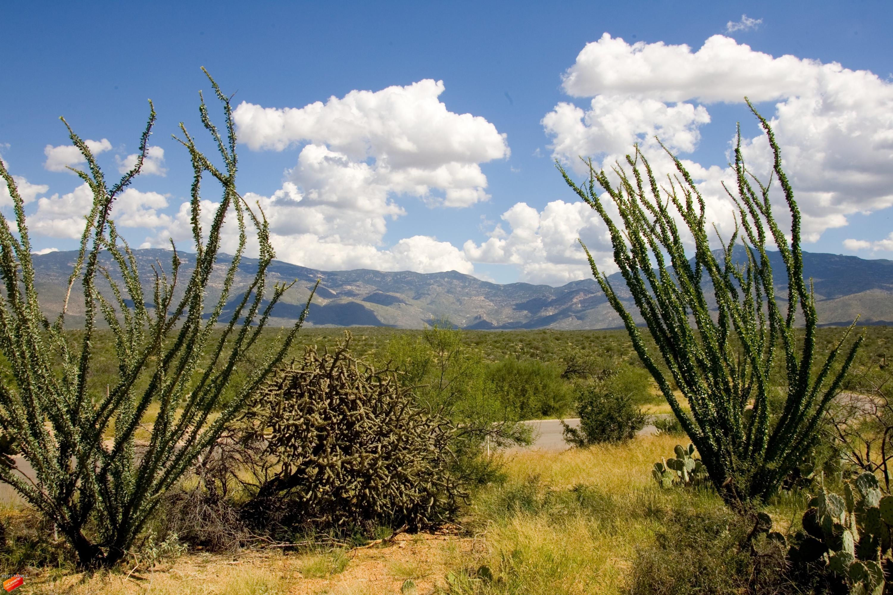 Coyote Creek (1-395) - Land