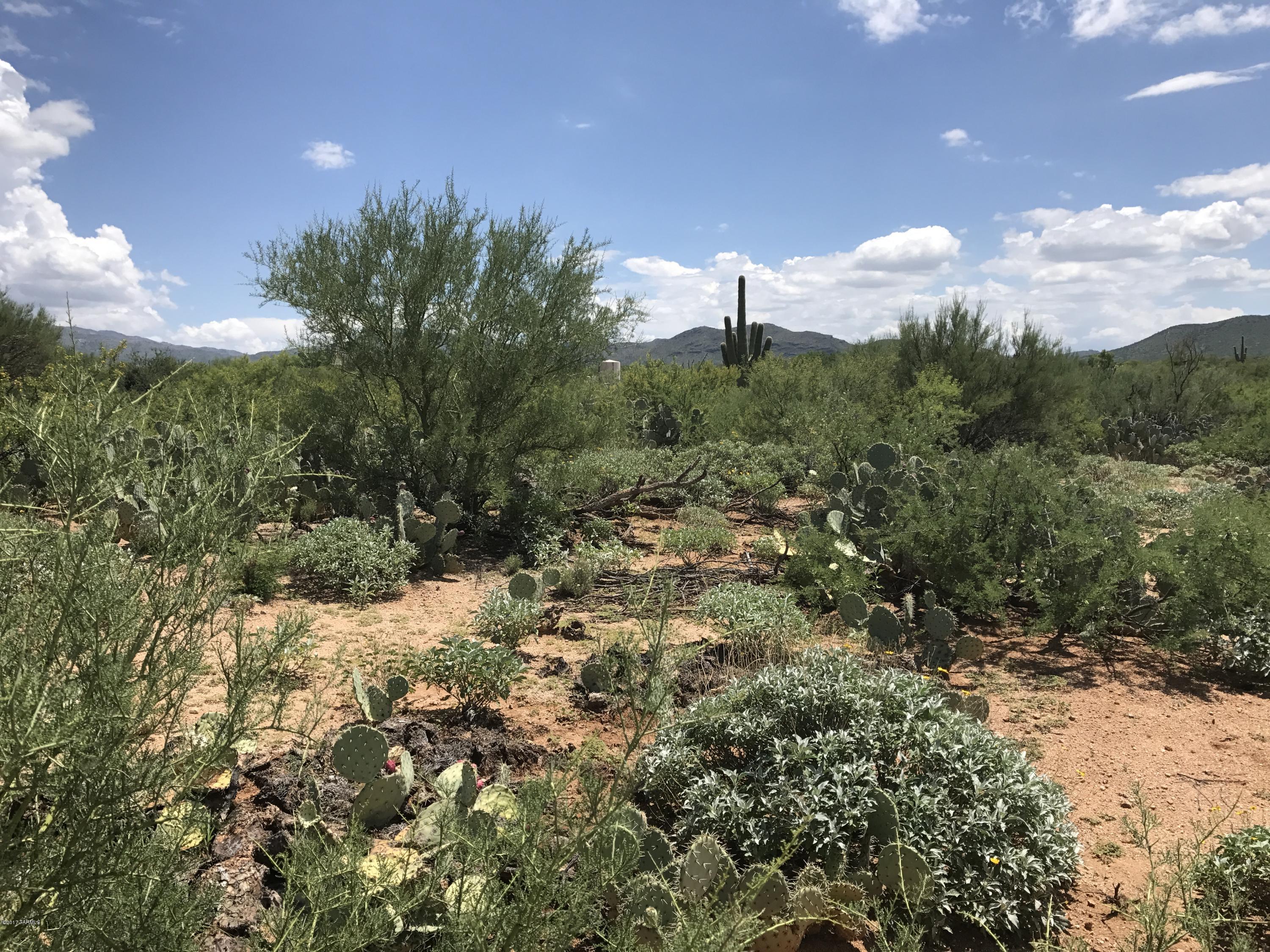 Coyote Creek (1-395) - Land