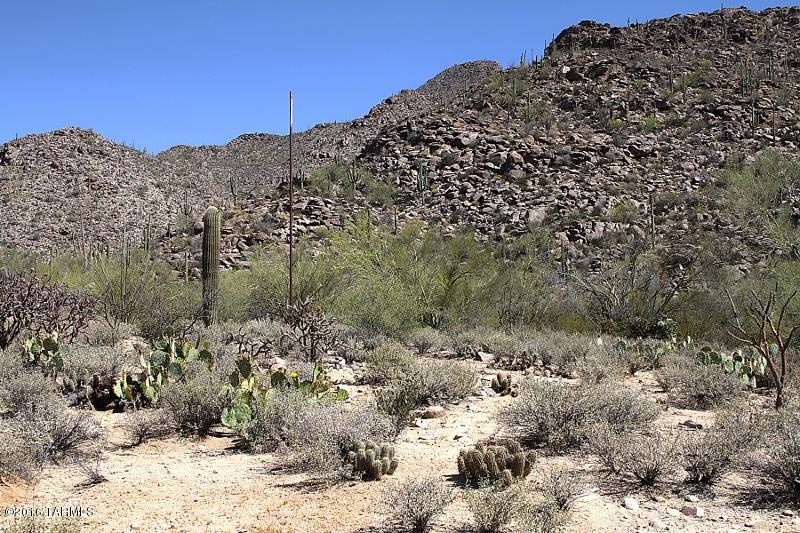 Canyon Pass At Dove Mountain(1-48) - Land