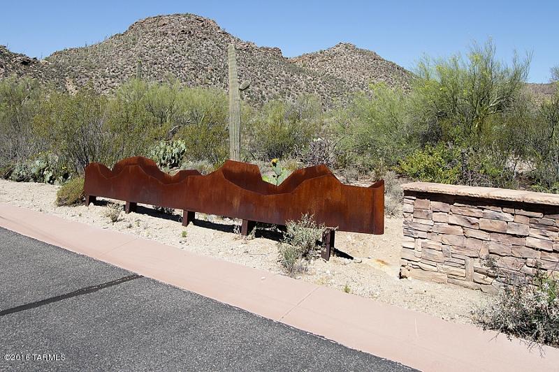 Canyon Pass At Dove Mountain(1-48) - Land