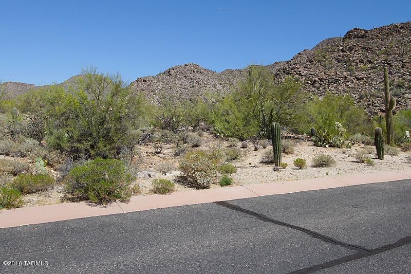 Canyon Pass At Dove Mountain(1-48) - Land