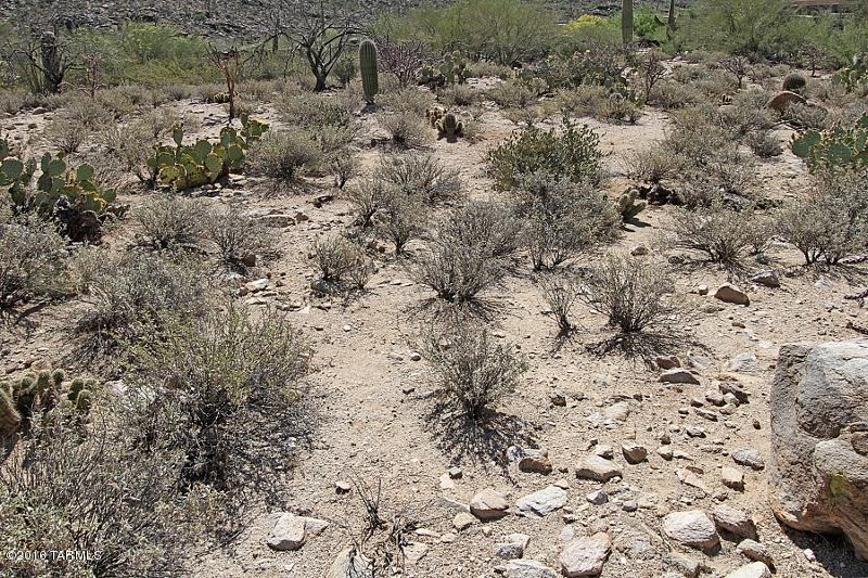 Canyon Pass At Dove Mountain(1-48) - Land