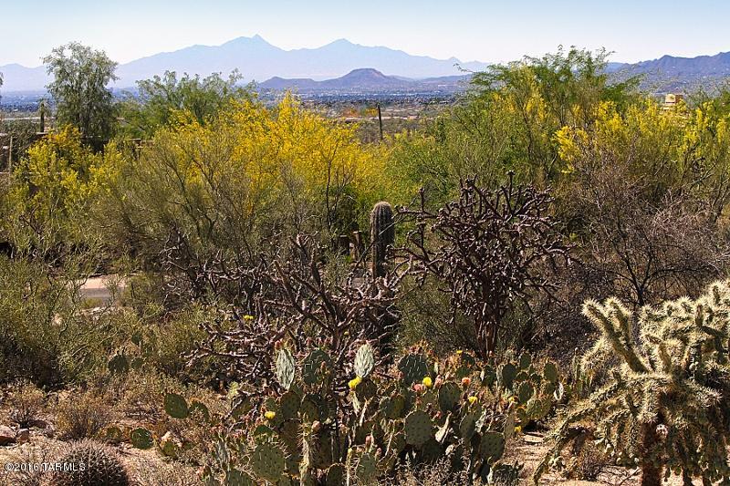 Canyon Pass At Dove Mountain(1-48) - Land